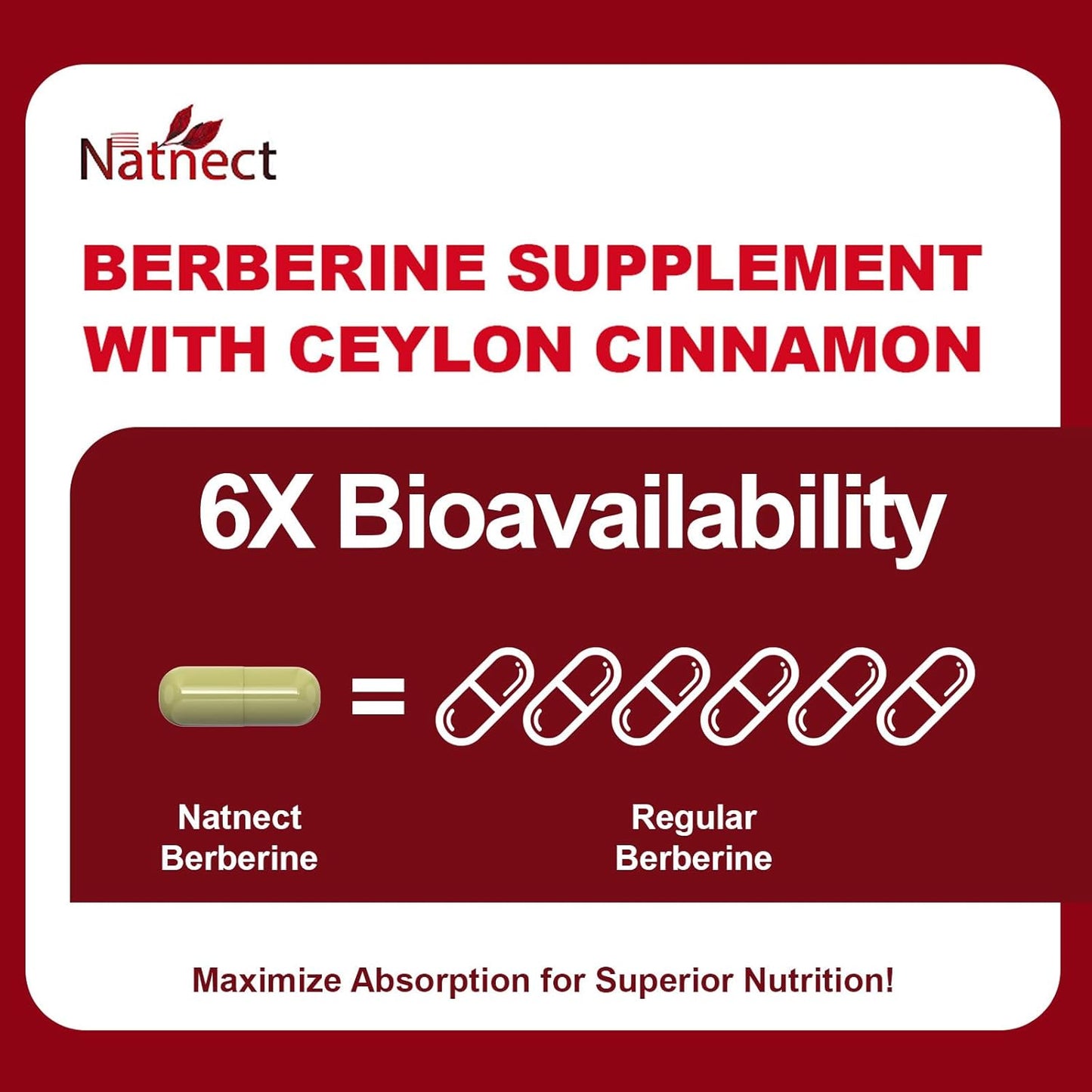 Berberine Supplement with Ceylon Cinnamon, Licorice Extract, Berberine 6X for Healthy Weight Management, Metabolism and Immune Support (120 Capsules)