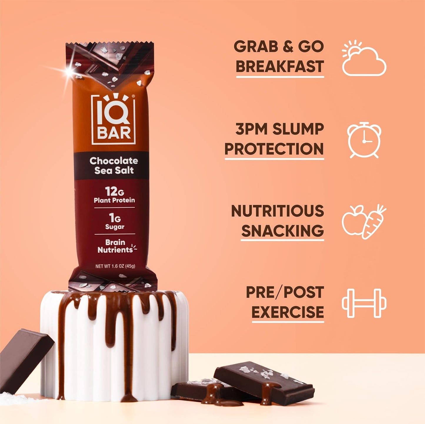 IQBAR Brain and Body Plant Protein Bars - Chocolate Sea Salt - 36-Count Low Carb - Gluten Free, High Fiber, Vegan Snacks - Low Sugar Meal Replacement