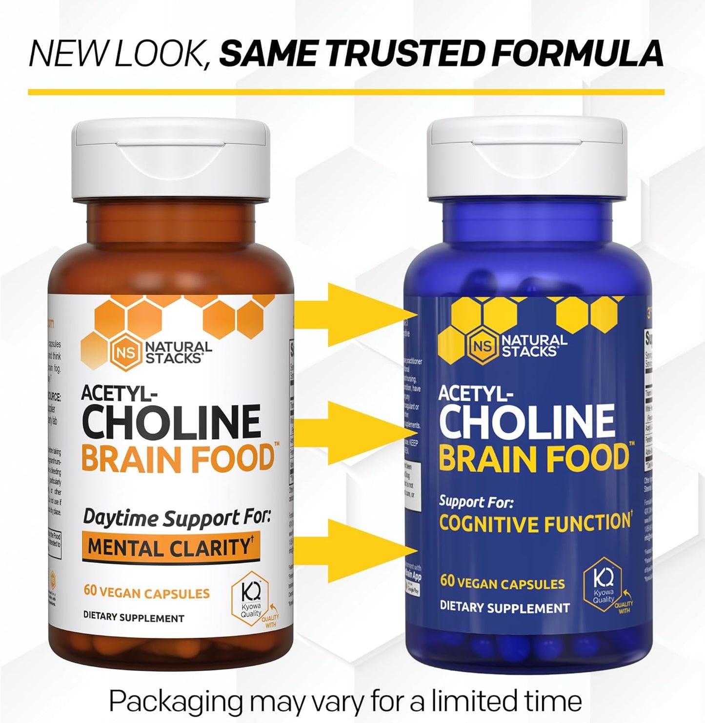 Acetylcholine Brain Food - Acetyl L-Carnitine & Alpha GPC Supplement - Supports Production of Acetylcholine - Neurotransmitter Supplement for Cognitive Function - 60 Capsules