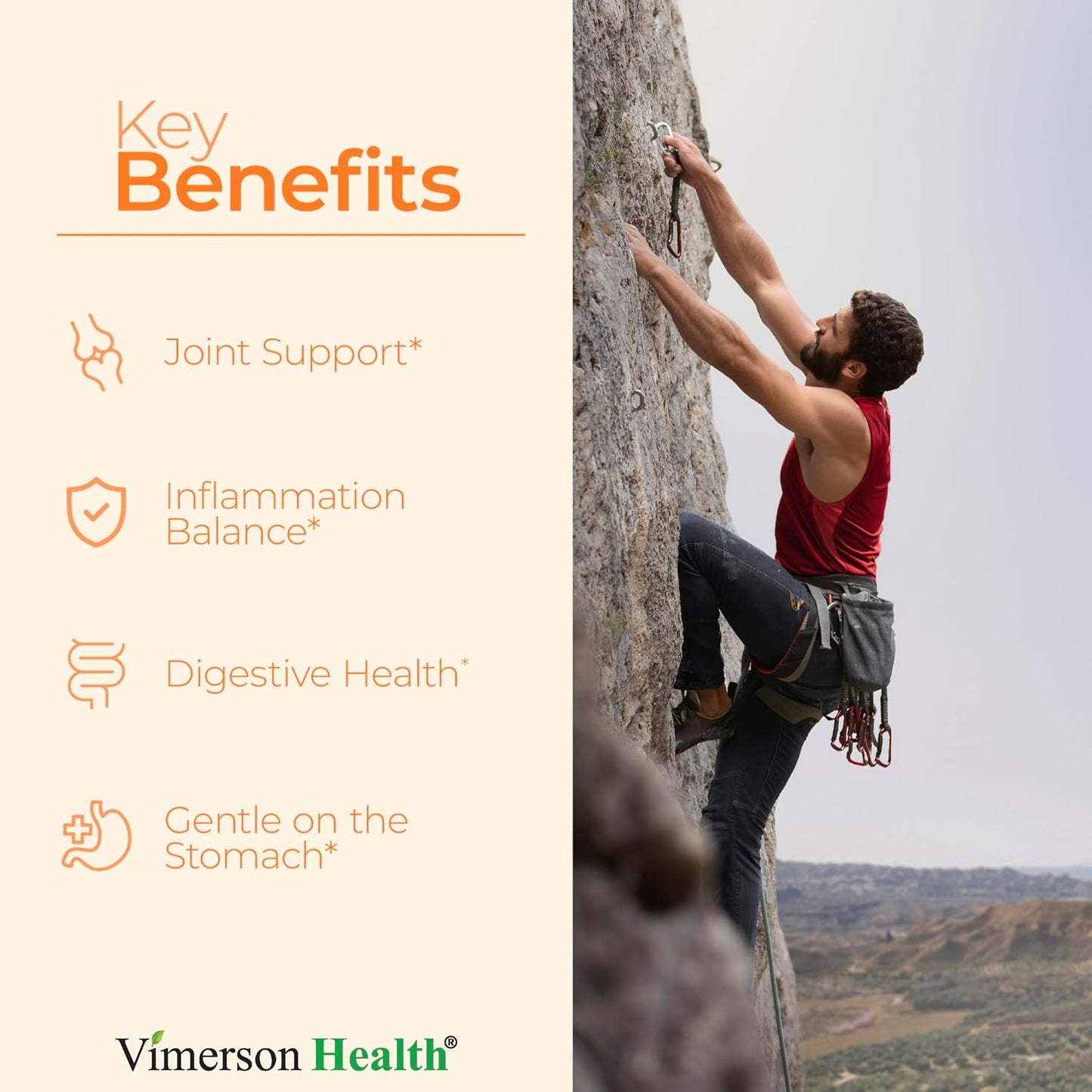 Turmeric Supplement with 65% Boswellia Extract Capsules - Turmeric Curcumin Supplement 95% Curcuminoids - Boswellia Serrata, Black Pepper, Organic Turmeric & Ginger root capsules - Tumeric Caps 2-Pack