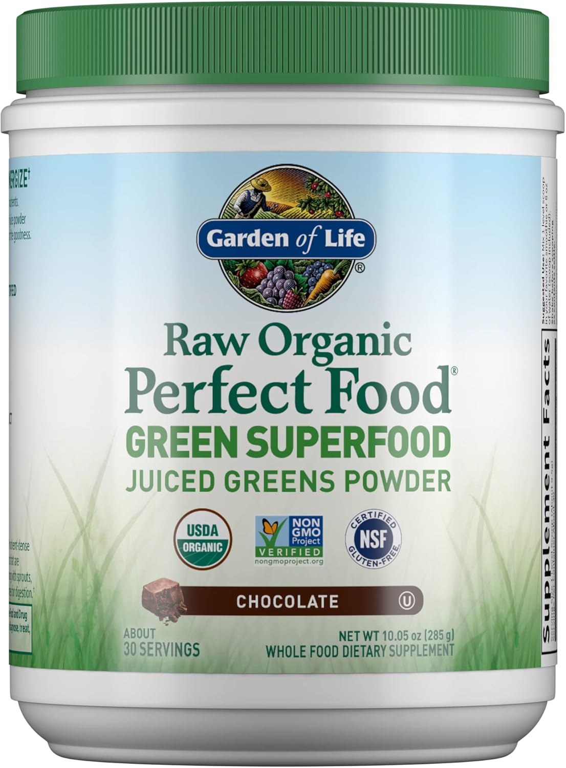 Garden of Life Raw Organic Perfect Food Green Superfood Juiced Greens Powder - Chocolate, 30 Servings - Non-GMO, Gluten Free, Vegan Whole Food Dietary Supplement, Plus Probiotics & Enzymes