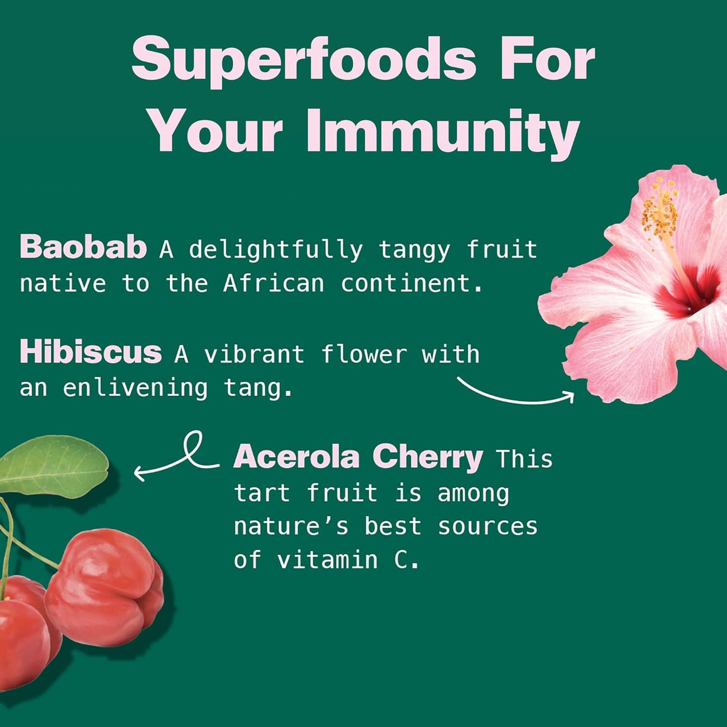 Kuli Kuli Citrus C Defense Superfood Powder [30 Servings] - Immune Support with Acerola Cherry, Hibiscus, Lucuma, and Baobab - Natural Vitamin C Boost for Daily Wellness