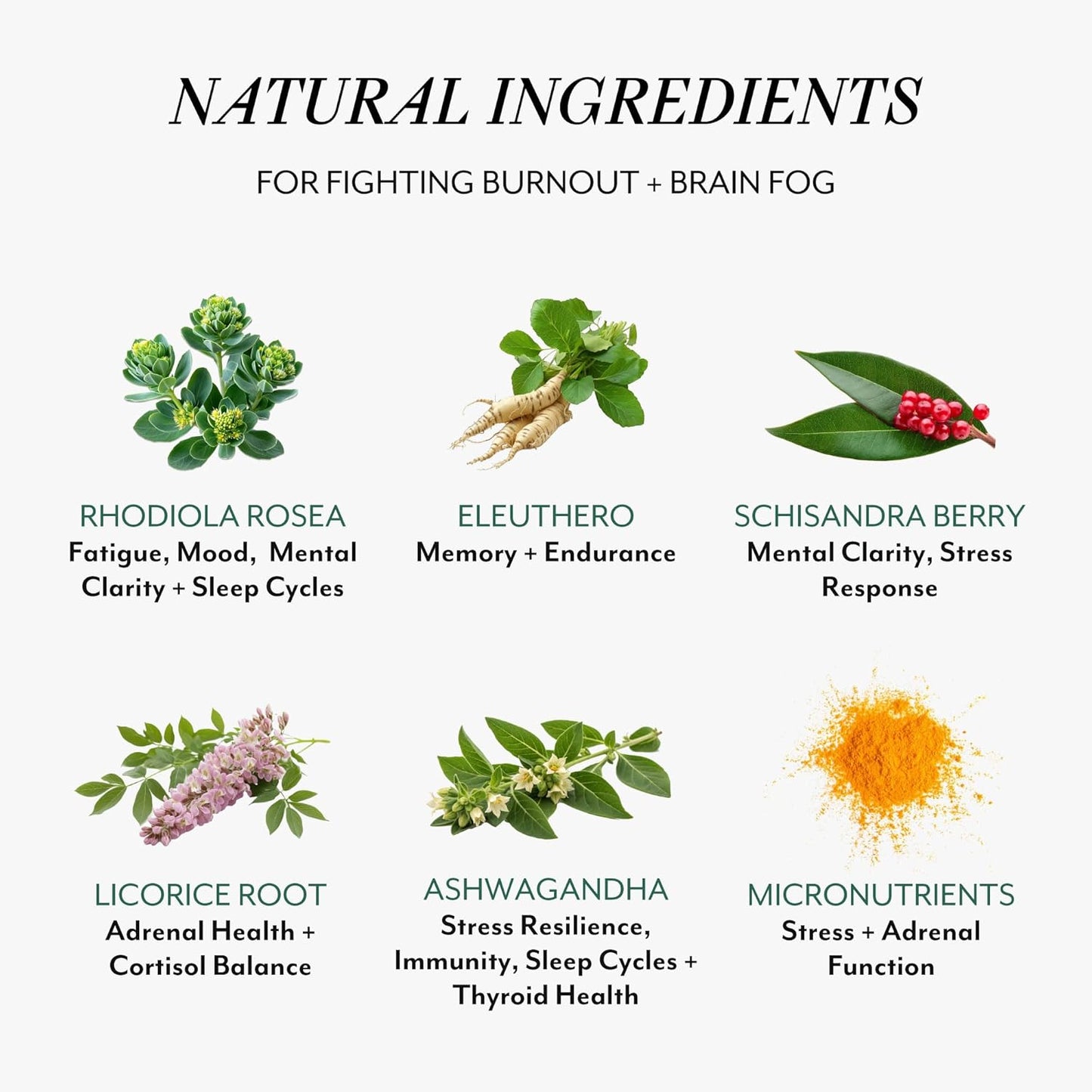 Veracity Fatigue Ease Adrenal Support Supplement for Stress Resilience, Healthy Cortisol & Energy - Adaptogenic Blend of Ashwagandha, Schisandra Berry, Licorice & Rhodiola – 100% Natural - 60 Capsules