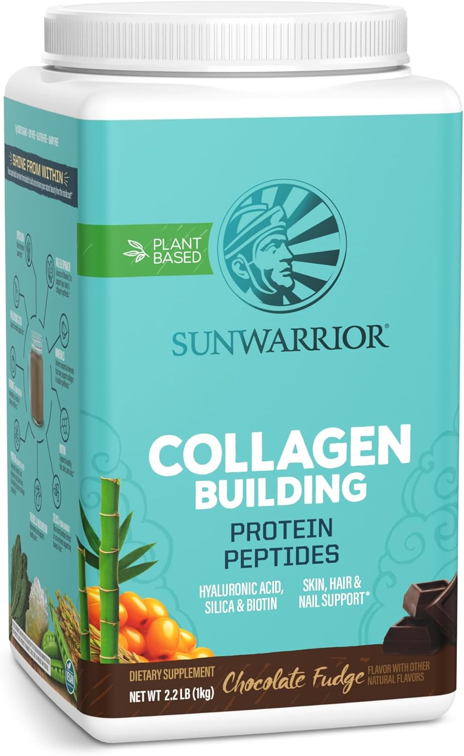 Vegan Collagen Protein Powder for Women Silica Plant Based Collagen Powder Chocolate Flavor Vegan Hair Skin and Nails Vitamins Non-GMO No Added Sugar Soy Dairy & Gluten Free (Chocolate, 40 Servings)