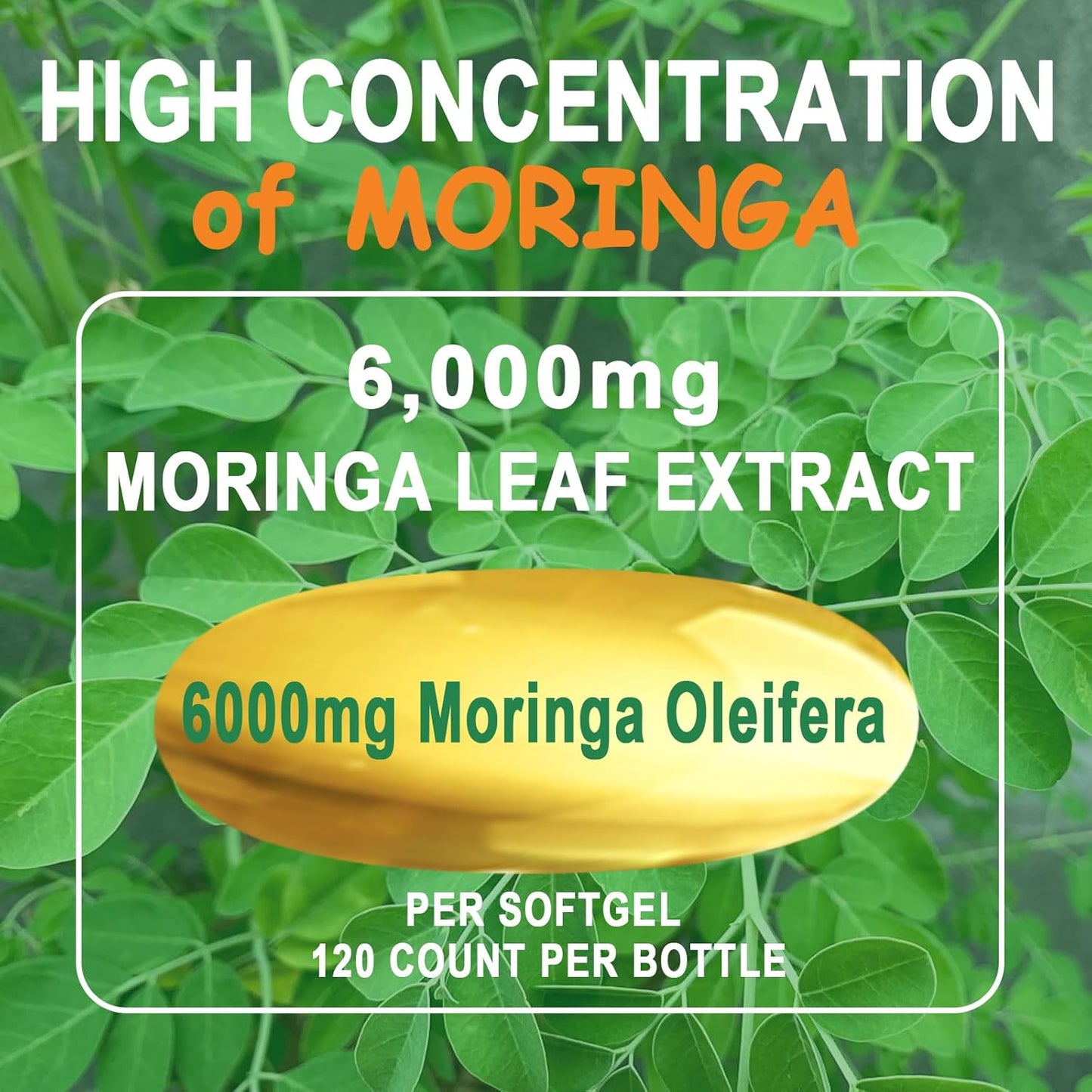 Moringa Softgels, Organic Pure Moringa Oleifera Leaves Extract for Energy, Skin, Gut Health, Immune, Natural Antioxidant, High Potency Moringa Oil Than Moringa Powder, Non-GMO, 60 Serving