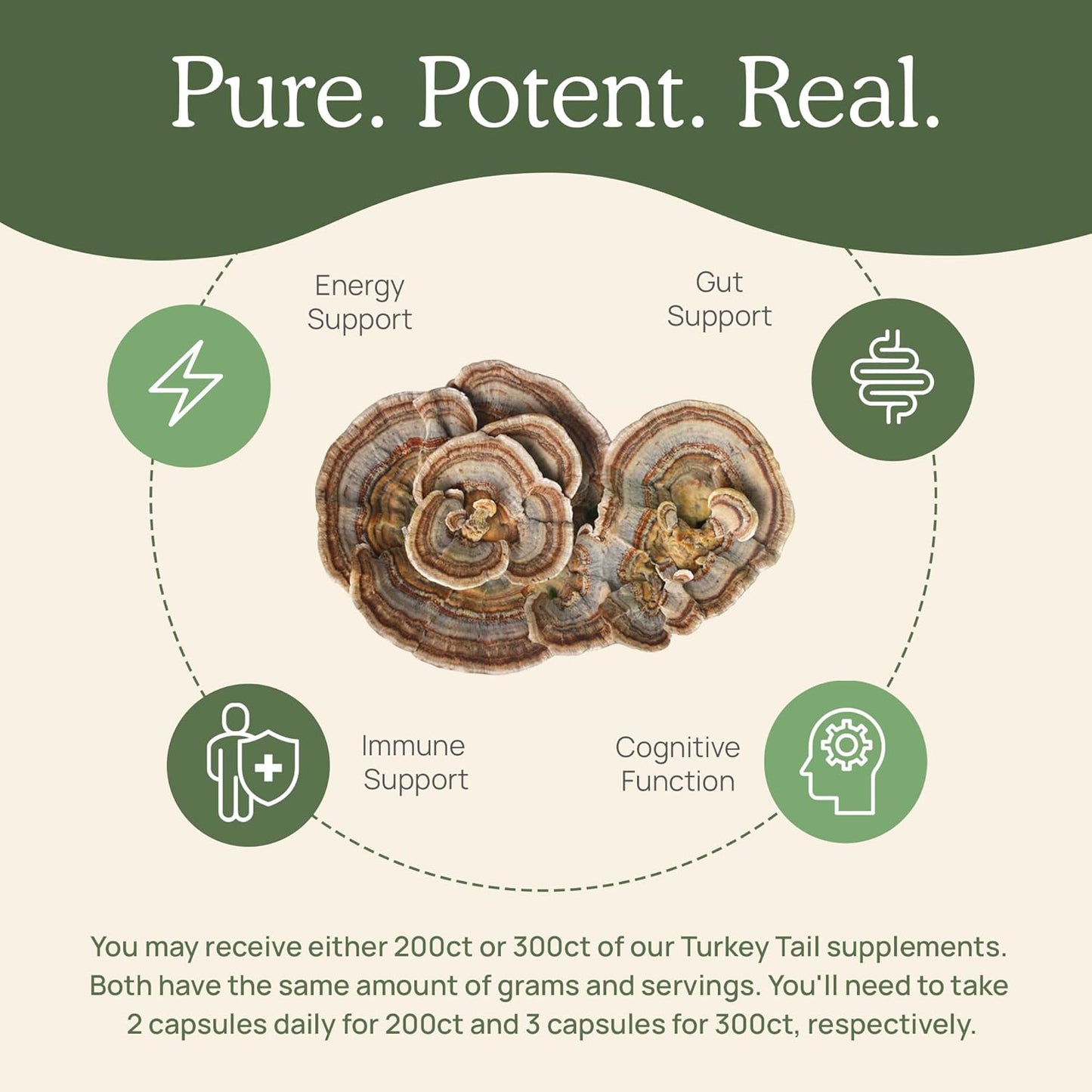 Real Mushrooms Turkey Tail Capsules – Organic Mushroom Extract for Daily Wellness, Gut Harmony, Energy Support – Vegan, Non-GMO, No Fillers – Turkey Tail Extract 200 Count Mushroom Supplement