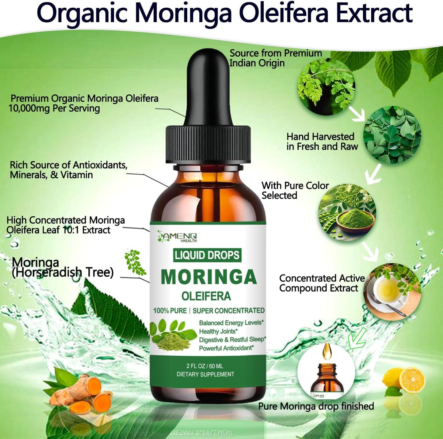 Pure Moringa Oleifera Liquid Drops, Organic Moringa Leaf Extract w. Turmeric, Black Pepper, Moringa Supplement for Energy Metabolism Immune Skin Joint & Gut, 6X Stronger Than Moringa Capsules Powder