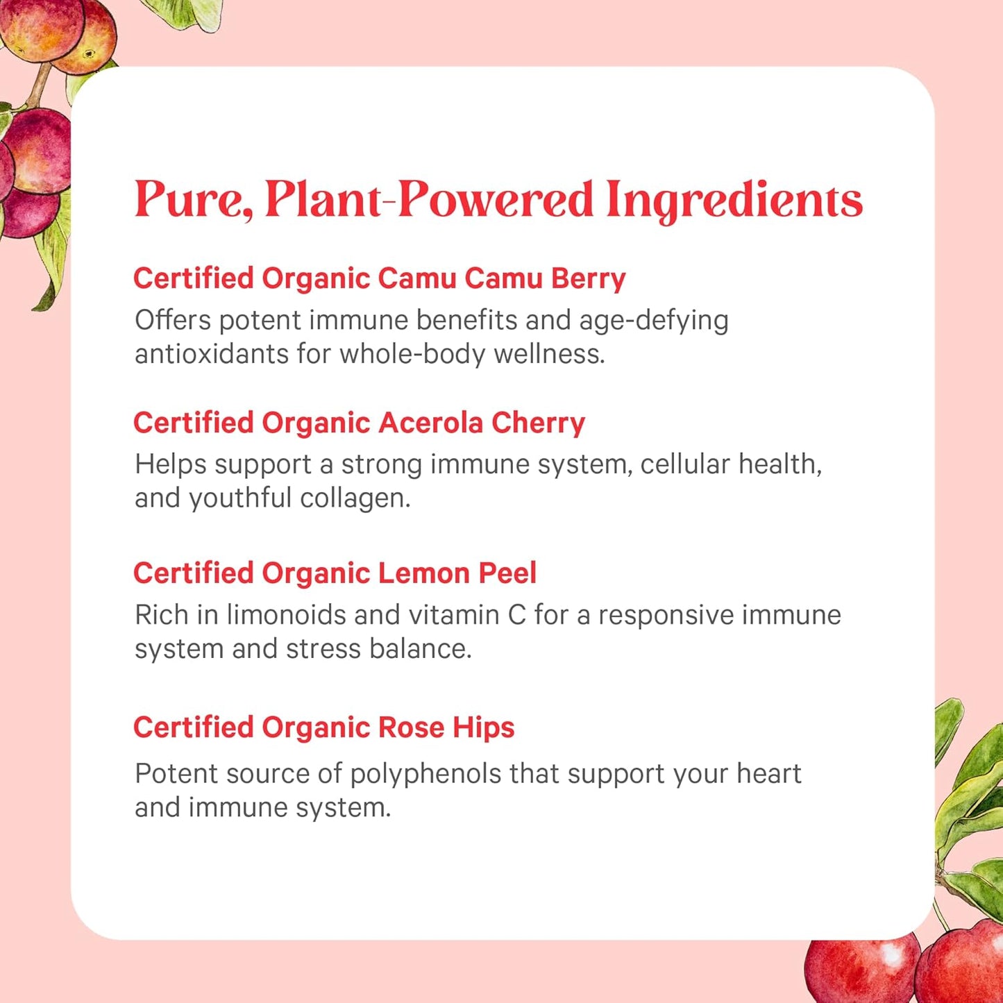 Pure Synergy Pure Radiance C | Organic Vitamin C Powder | 100% Natural, Whole Food, Non-GMO Supplement with Camu Camu Extract | for Immune and Collagen Support (4 oz Powder)