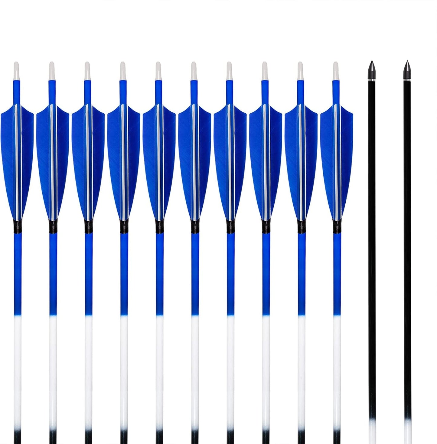 31Inch Carbon Arrows, Targeting Practice Hunting Arrow, Turkey Feather Fletching Arrow, with Removable Tips and nocks for Recurve & Compound Bow