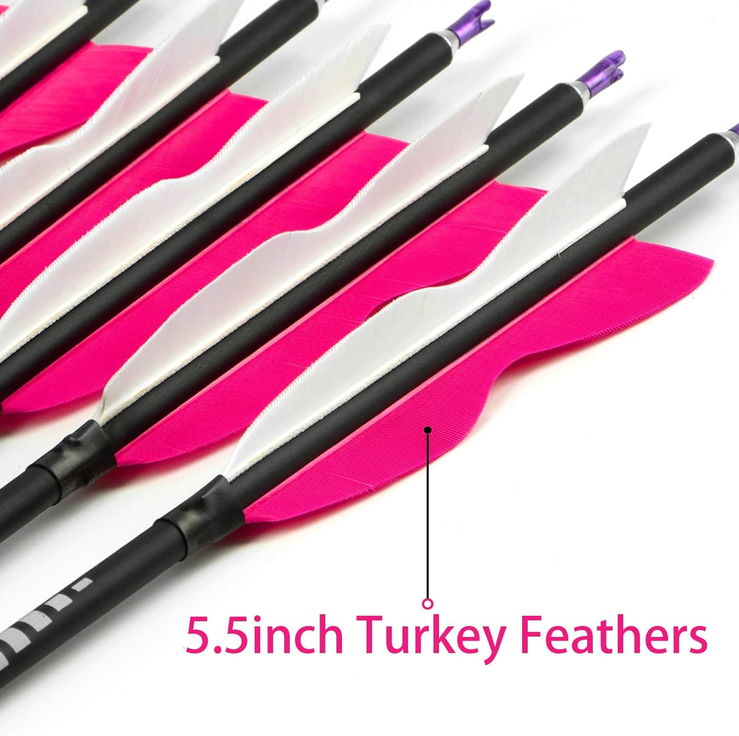 S F 30" Traditional Archery Carbon Feather Arrows 500 Spine Traditional Arrows Long Bows Archery Compound Bow Arrows Arrows for Compound Bow Arrows for recurve Bow（12 Pack）