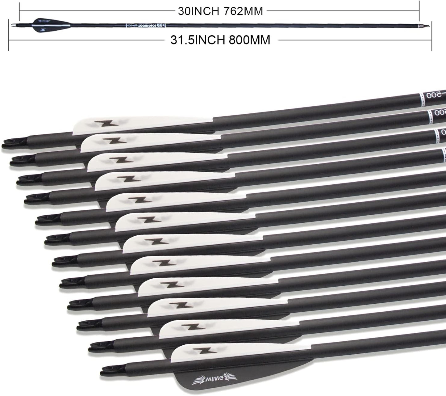 31inch Carbon Arrow Archery Targeting Practice Hunting Arrows for Compound & Recurve Bow with Removable Tips(Pack of 12)