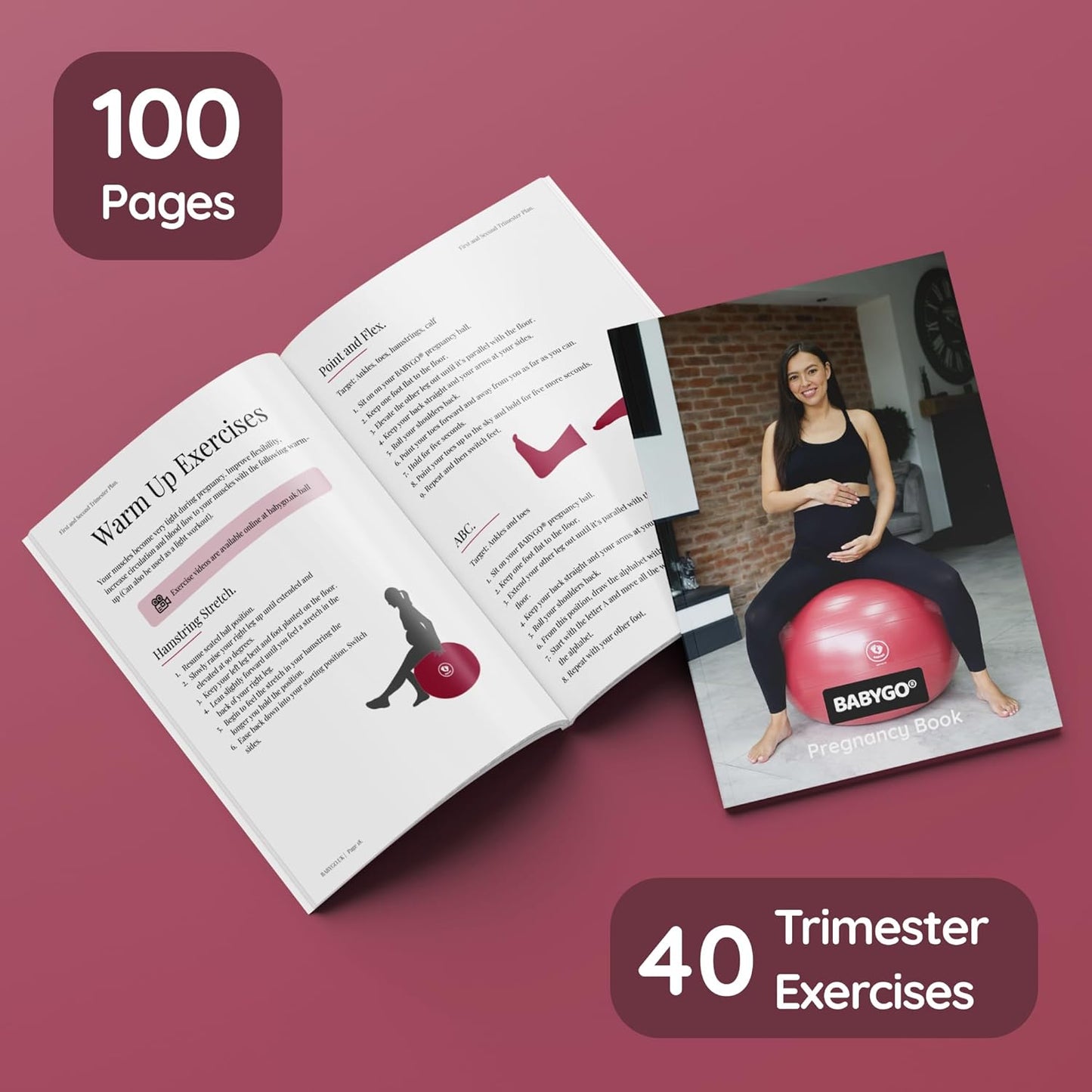 BABYGO® Birthing Ball for Pregnancy & Labor + Our Award Winning Book - Exercise, Birth & Recovery Plan, 5X Stronger Than a Yoga Ball with Eco Friendly Material