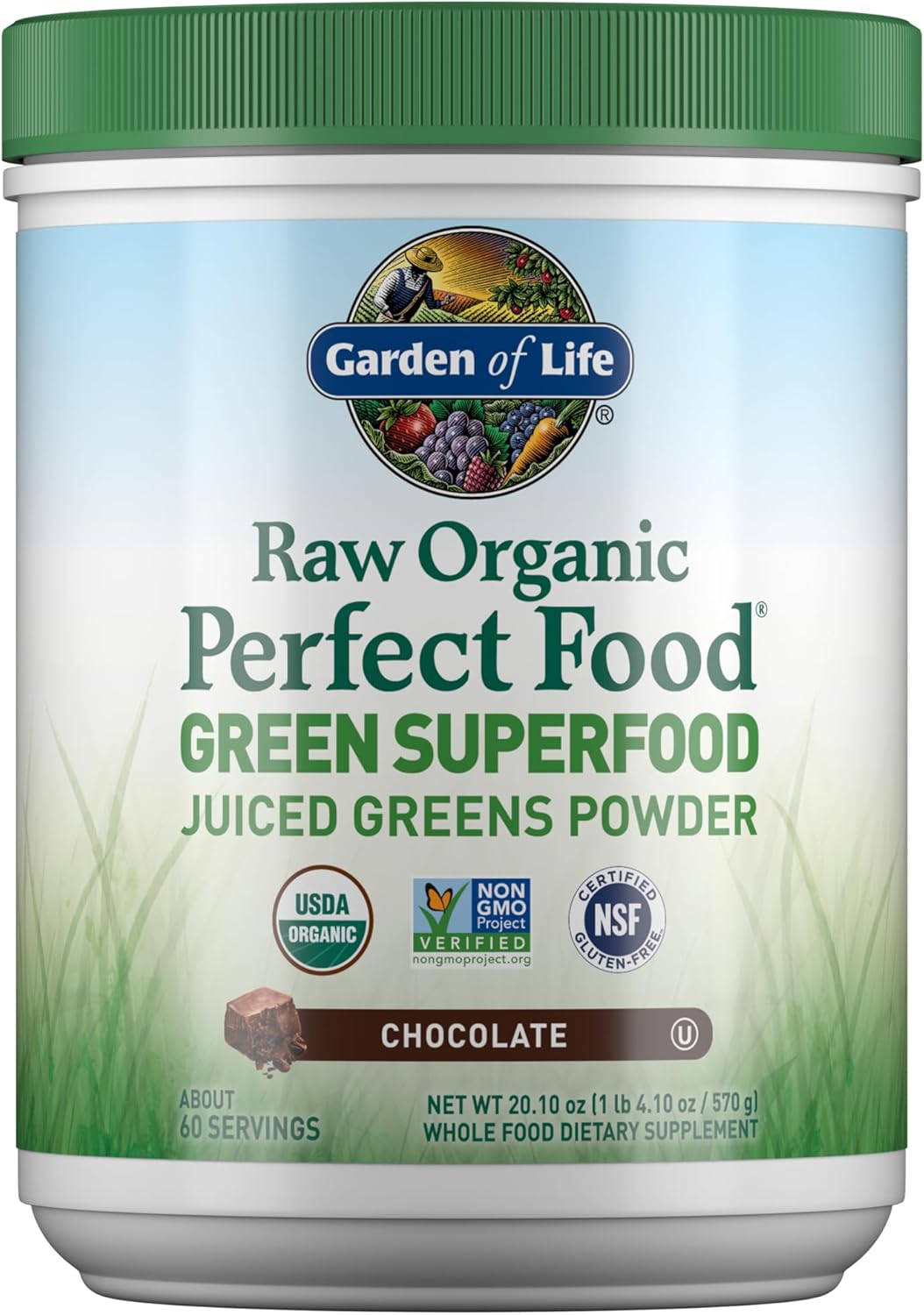 Garden of Life Raw Organic Perfect Food Green Superfood Juiced Greens Powder - Chocolate, 60 Servings, Non-GMO, Gluten Free, Vegan Whole Food Dietary Supplement Plus Probiotics, Enzymes