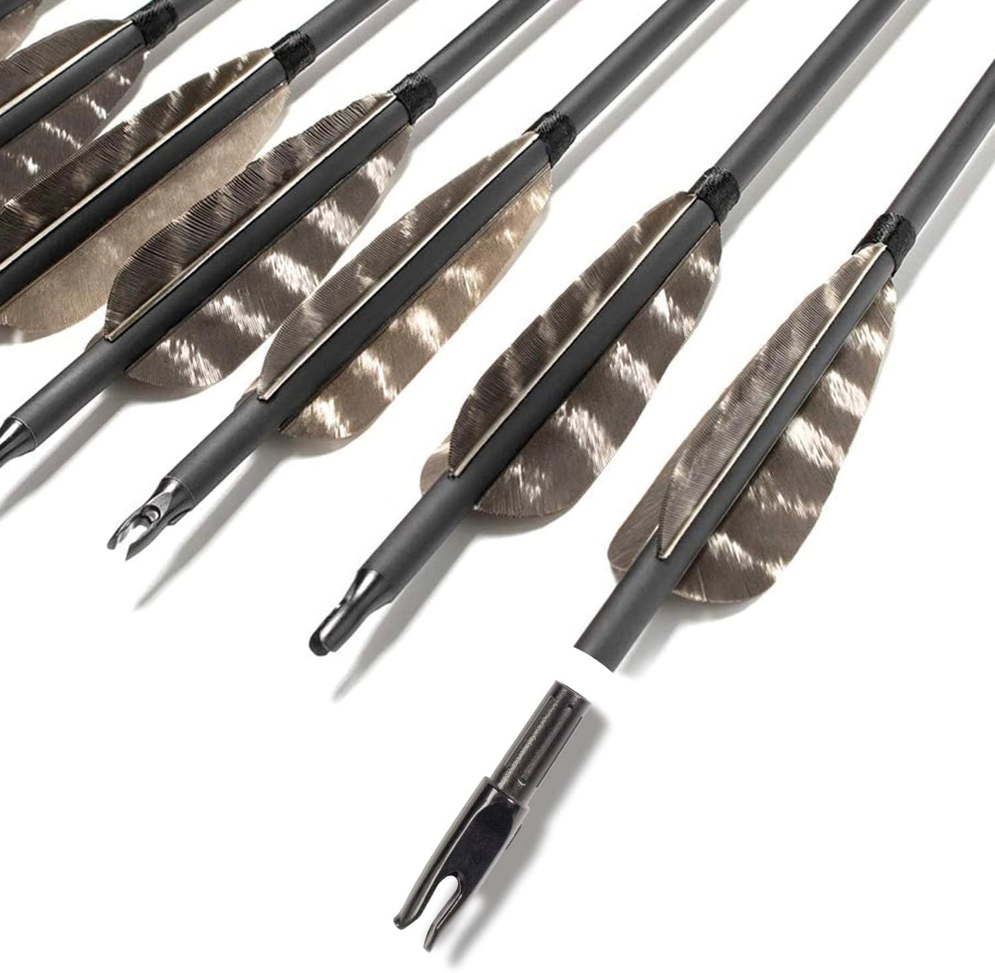 31Inch Carbon Arrow, Practice Hunting Arrows, Camo Turkey Feather Fletching, Arrows for Compound & Recurve Bow with Removable Tips Adjustable Nocks