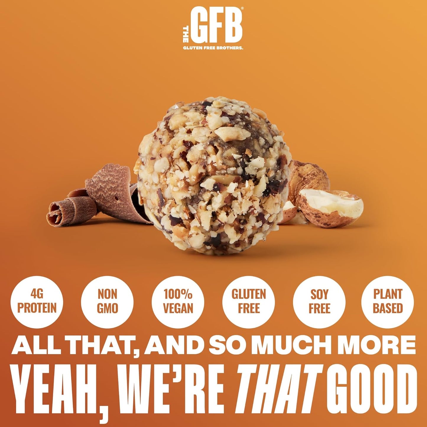 The GFB Dark Chocolate Hazelnut Protein Bites - Gluten Free, Plant Based, Non GMO, Sustainably Made – Ridiculously Tasty, Healthy, Vegan, Protein Energy Balls, 4 oz (6 Count)