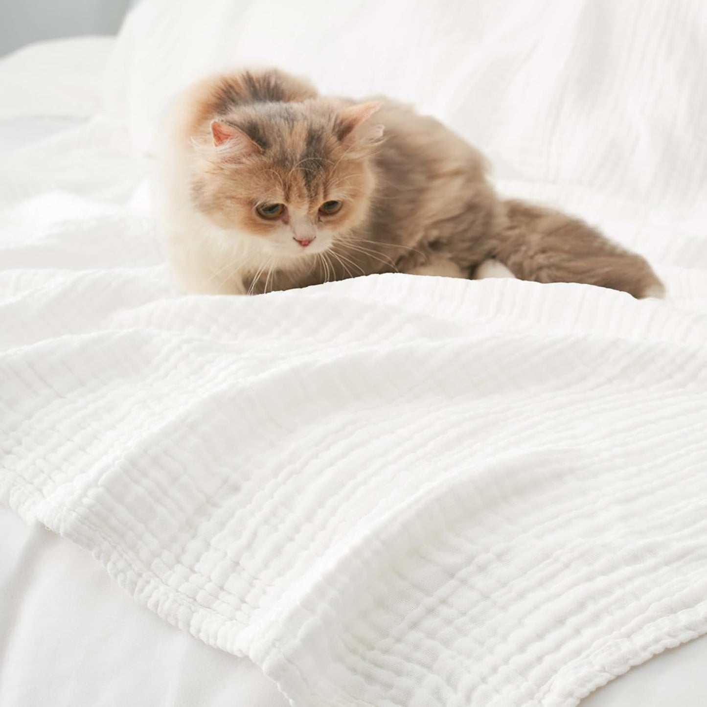 Carriediosa 100% Cotton Muslin Throw Blanket 90" X 90" Queen Size，4-Layers Summer Gauze Throws for Bed Couch，Soft Lightweight Breathable Linen Blankets Bedspread for Adults All Season，White