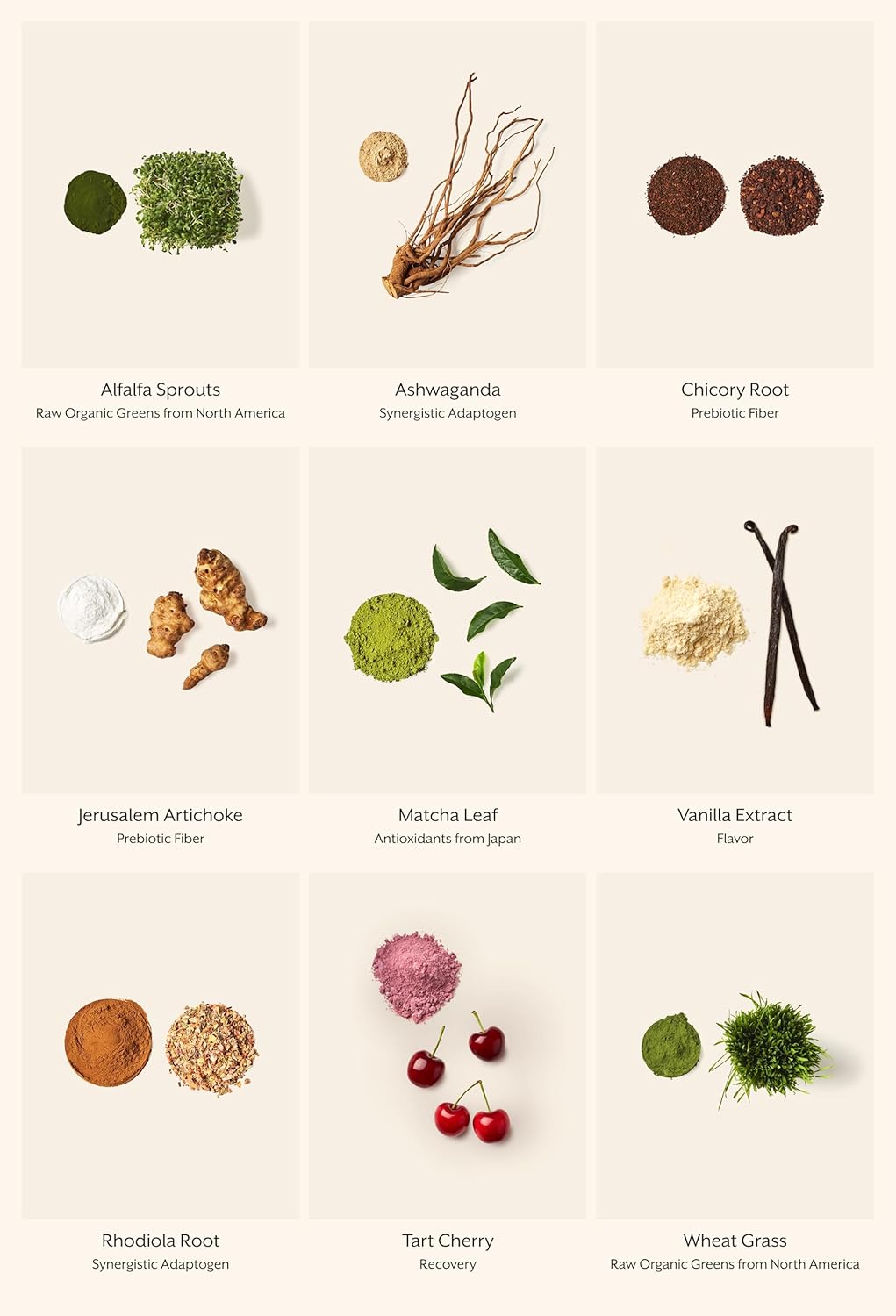 ProMix Nutrition Raw Greens Superfood Blend - Sprouted Alfalfa, Wheatgrass, Ashwagandha, & Rhodiola - 30 Servings