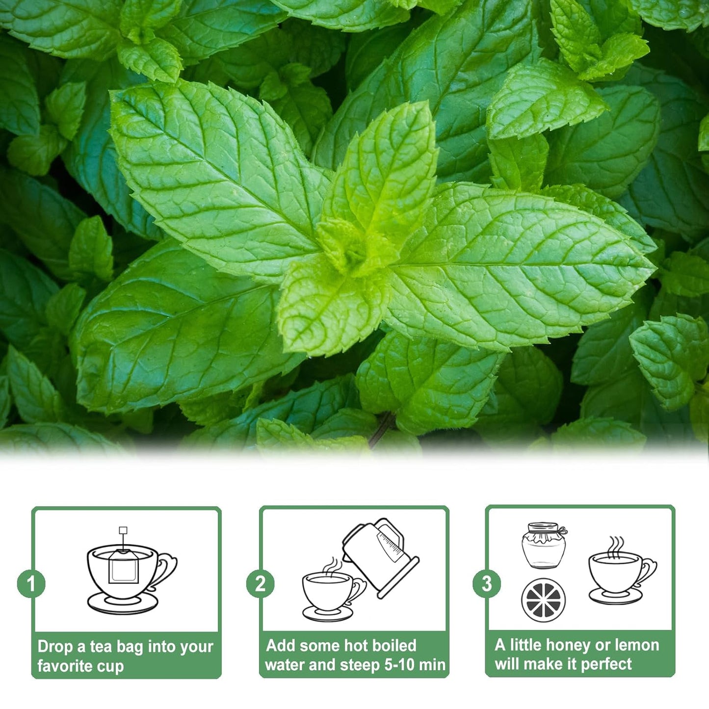 TEARELAE - Spearmint Tea - 1.5g x 50 Count - 100% Pure Spearmint Leaves - Non-GMO - Naturally Caffeine-free Herbal Tea - Support Digestion & Natural Breath Freshener