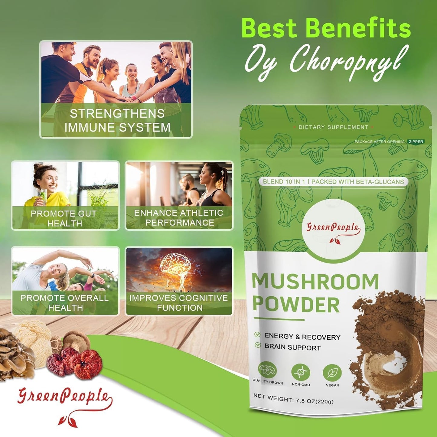 Mushroom Powder Mushroom Supplement - 10-in-1 Mushrooms Lions Mane Powder with Reishi/Cordyceps/Chaga/Turkey Tail/Maitake/Complex for Cognitive Function & Immune Support 78 Servings 2PCAKS