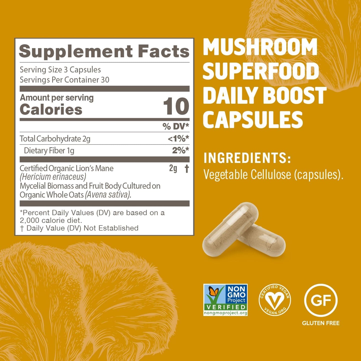 OM MUSHROOM SUPERFOOD Lion's Mane Mushroom Capsules Superfood Supplement, 90 Count, 30 Day Supply, Fruit Body and Mycelium Nootropic for Memory, Focus, Nerve Health and Immune Support