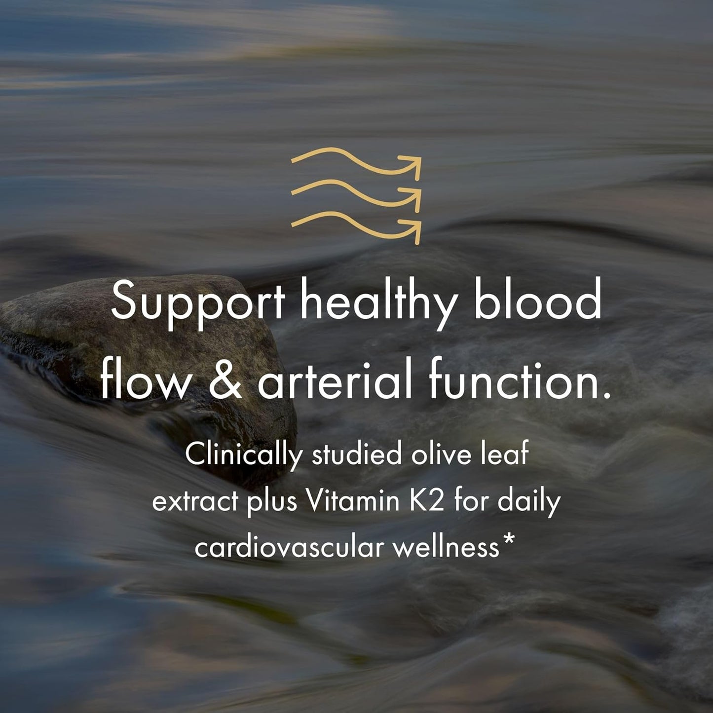 NAOMI BP Advanced, Potent Ingredients for Blood Flow and Circulation, Endothelial Function, Supports Cardiovascular and Arterial Health, 1000mg Olive Leaf Extract, 180mcg Vitamin K2 (Small, 60 Count)