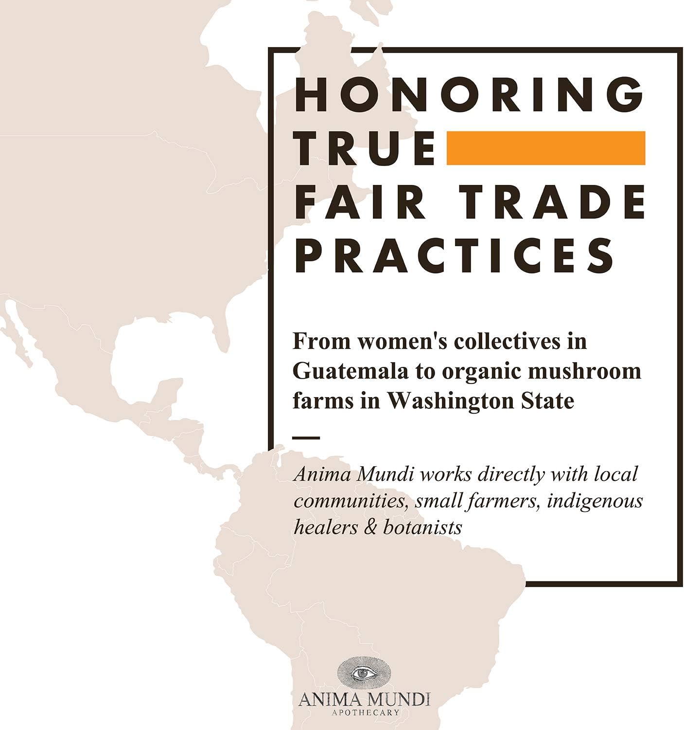 Anima Mundi Apothecary Super Greens Powder - Liver Vitality - Organic Superfood Greens & Herbal Prebiotics for Liver Detox, Cleanse & Support - with Fair Trade Dandelion, Milk Thistle & More (8oz)