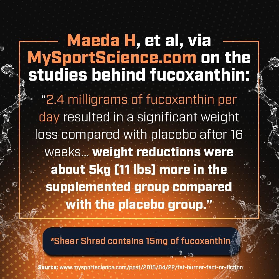 Thermogenic Capsaicin & L-Carnitine Premium Supplement for Men, Jitter-Free Blend of Capsaicin, Rauwolscine, Forskohlii, L-Carnitine & L-Theanine Supplement - 30SV