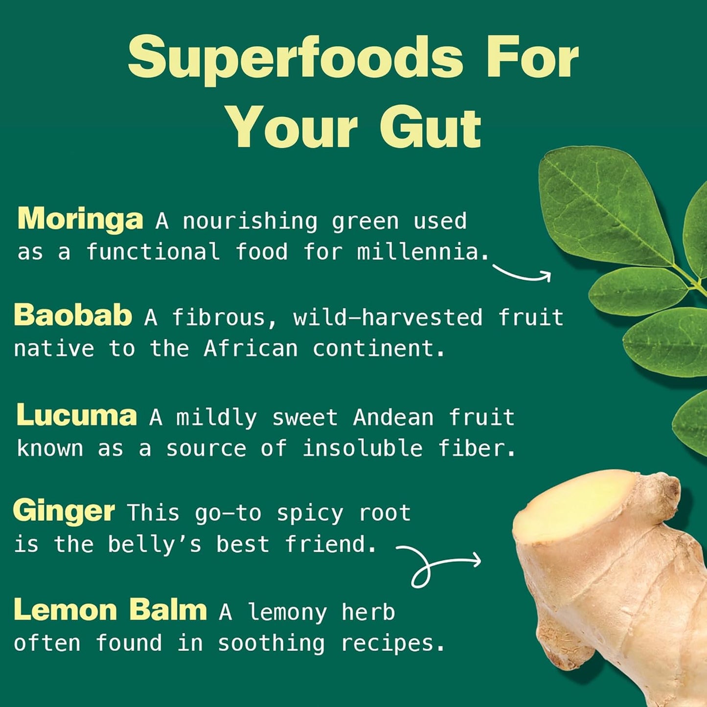 Kuli Kuli Gut Bliss Superfood Powder [6 oz] - Powerful Blend of Organic Moringa, Baobab, Lucuma, Ginger and Lemon Balm - Promote Digestion, Soothe the Stomach and Boost Gut Health