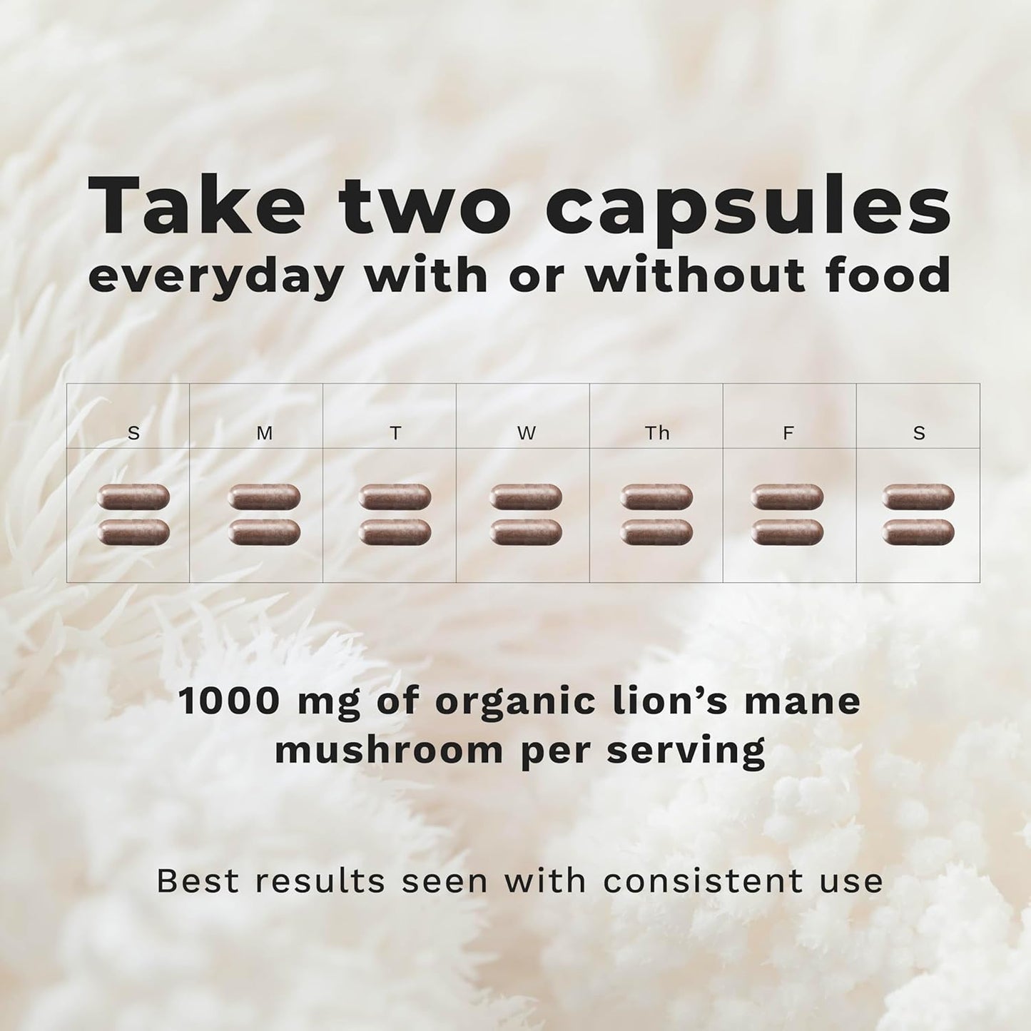 LifeSeasons Essentials Lion's Mane Mushroom - Support Healthy Brain Function & Emotional Balance - Stimulate Nerve & Brain Cell Growth - Mood Enhancer - 1000mg per Serving - 60 Capsules