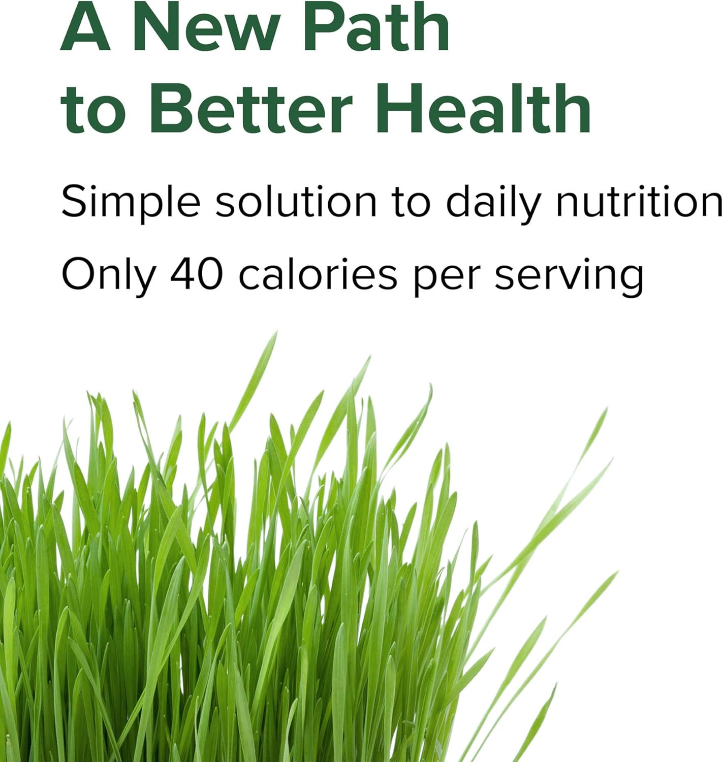 Vibrant Health, Green Vibrance, Vegan Superfood Pills, 240 Count (Pack of 1)