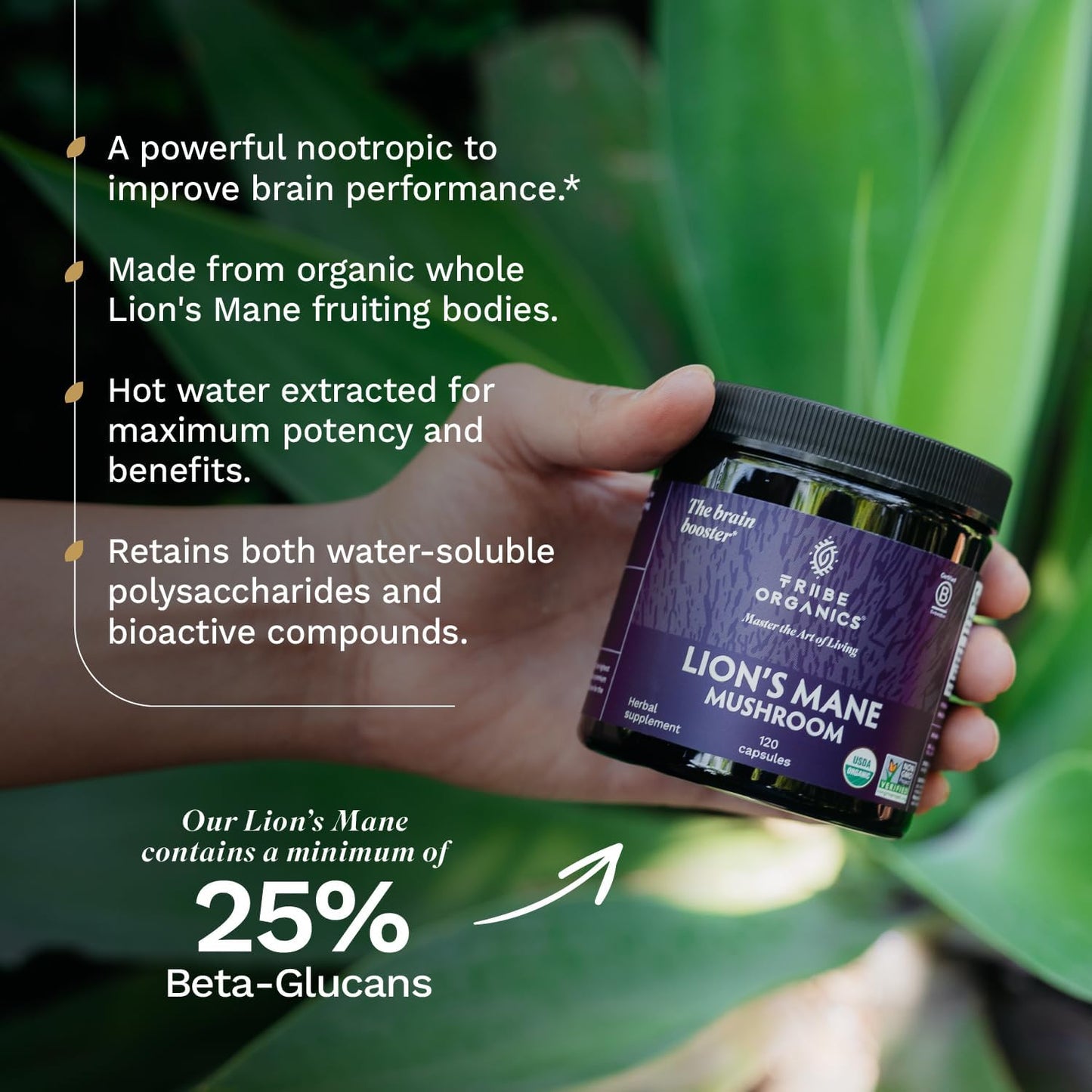 TRIBE ORGANICS Lion’s Mane Supplement 1000mg Mushroom Extract Powder - Immune System Booster & Brain Nootropic for Focus and Memory | Mental Clarity | Natural Energy and Immunity - 120 Vegan Capsules