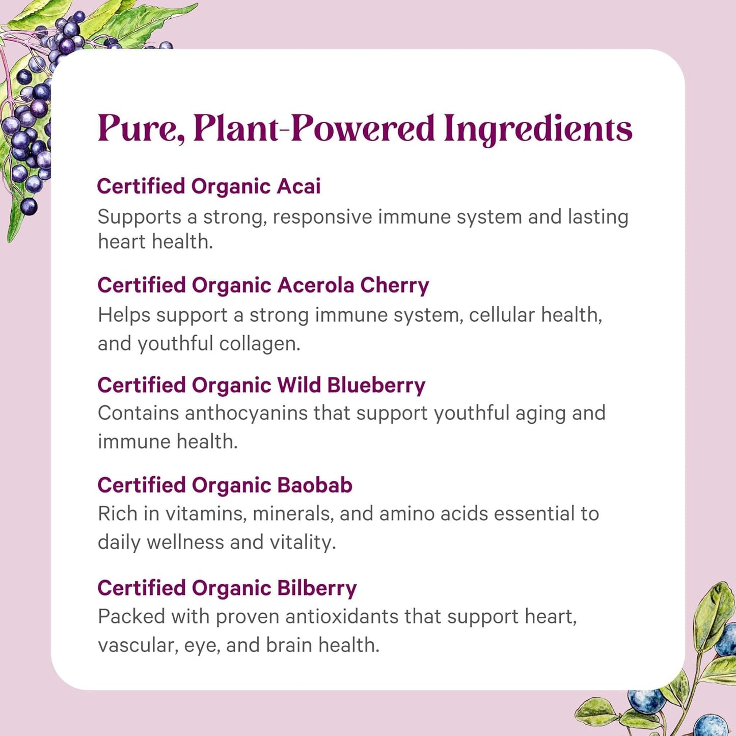 PURE SYNERGY Berry Power | Organic Berry and Fruit Powder | Antioxidant Supplement with Organic Acai, Camu Camu, and Wild Blueberry | for Healthy Aging, Immune, and Skin Support (5.3 oz Powder)