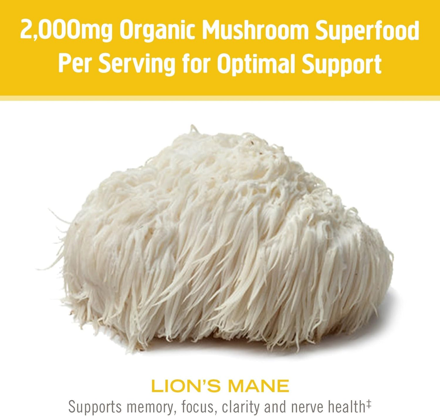 OM MUSHROOM SUPERFOOD Lion's Mane Organic Mushroom Powder, Improves Memory, Focus, Clarity, Nerve Health, and Mood Support, 7.05 oz, 100 Servings