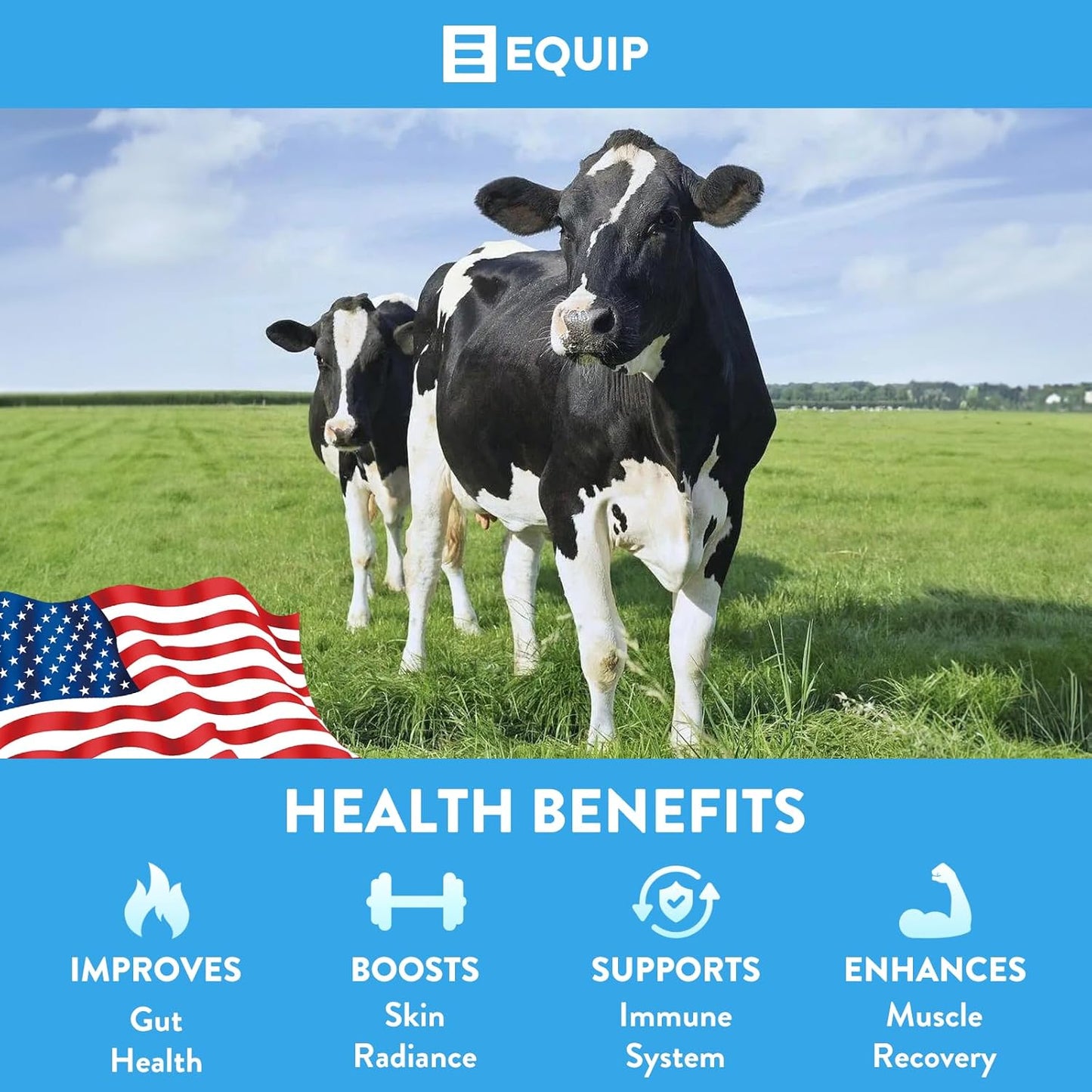 Equip Foods Core Bovine Colostrum Powder - 3,000mg Grass Fed Colostrum Supplement - Gut Health, Immunity, Recovery Lactoferrin Supplements - Keto Friendly Bovine Colostrum, 30 Servings, Unflavored