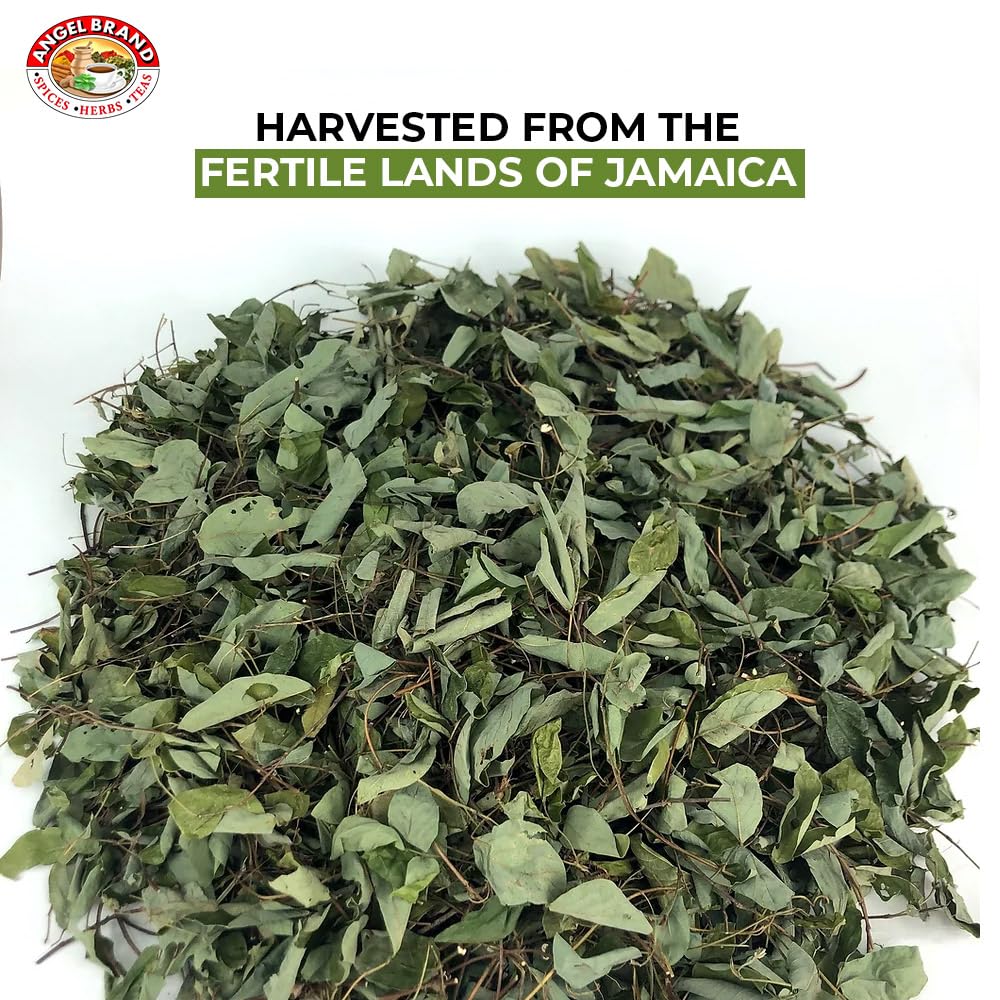 Angel Brand Jamaican Strongback Herb 0.25 oz Pouch Pack of 3 - Sourced from Fertile Land of Jamaica- Strongback Earthy,Woody & Bitter Flavor - Provide Comfort to your Back