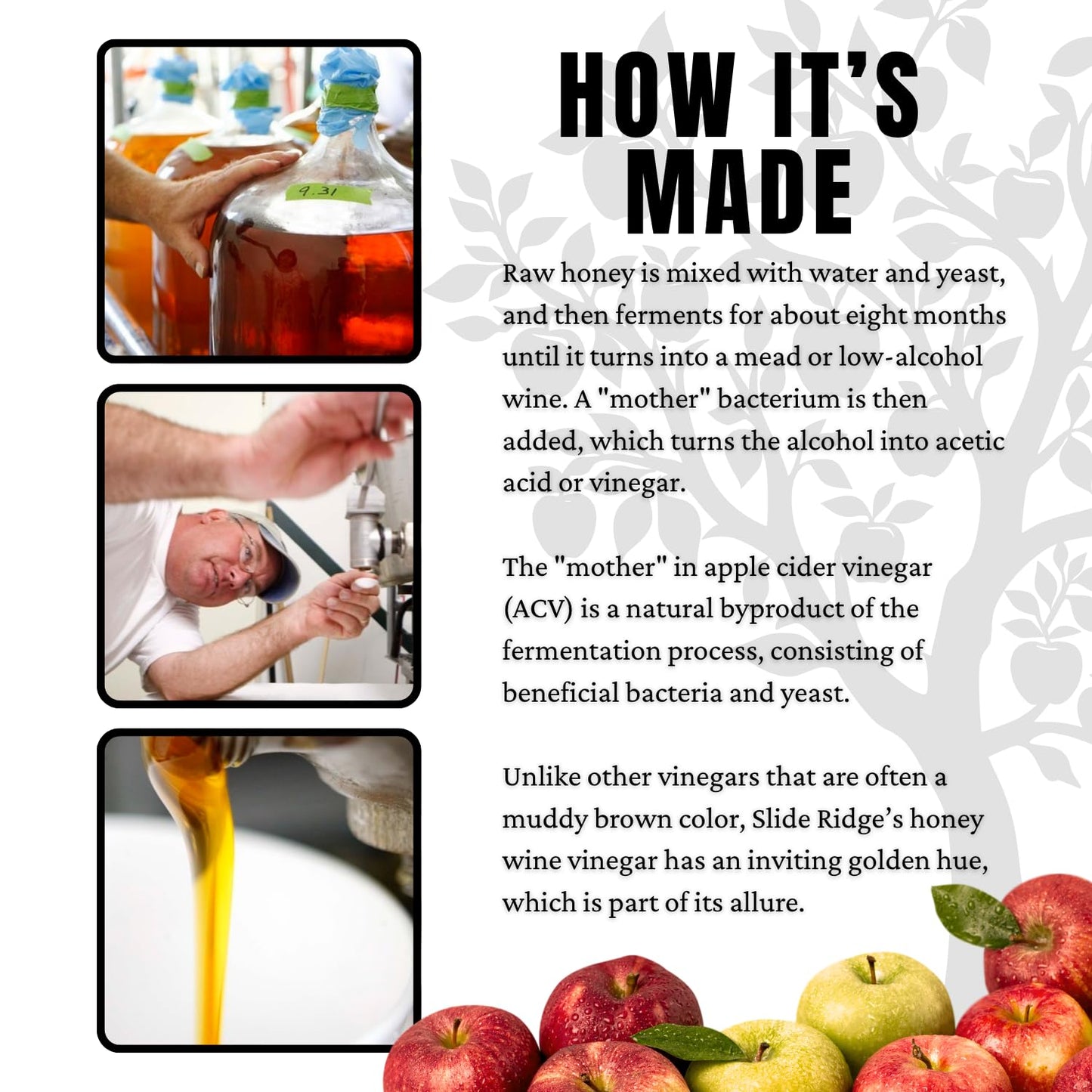 Slide Ridge Martin's Honey Apple Cider Vinegar | Crispy & Sweet | Wellness, Kitchen, & Household Staple | 16 oz (Pack of 4)