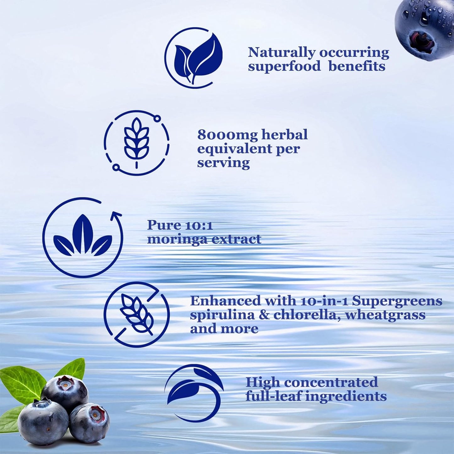 Raw Moringa Liquid Drops 8000 mg, Organic Moringa Oleifera Leaf Extract w. Supergreens Blend of Wheatgrass, Barley Grass for Antioxidant, Energy & Immune, High Potency Than Capsules Powder