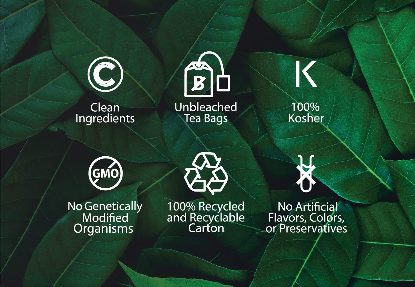 Buddha Teas Organic Blackberry Leaf Tea - OU Kosher, USDA Organic, CCOF Organic, 18 Bleach-Free Tea Bag