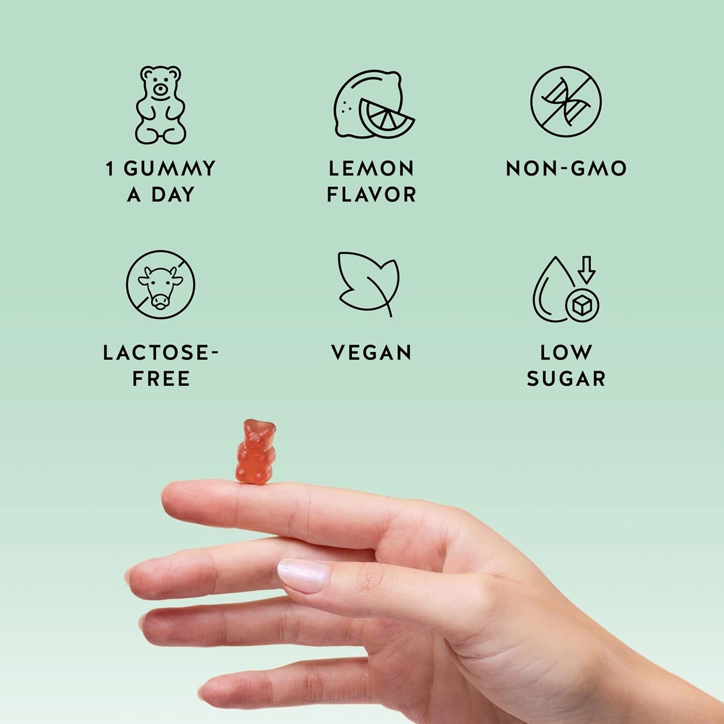 Immune Support Gummies – Vitamin C, D, B6 & B12 – Daily Immune Boost – Vegan, Naturally Flavored (90 Gummies)