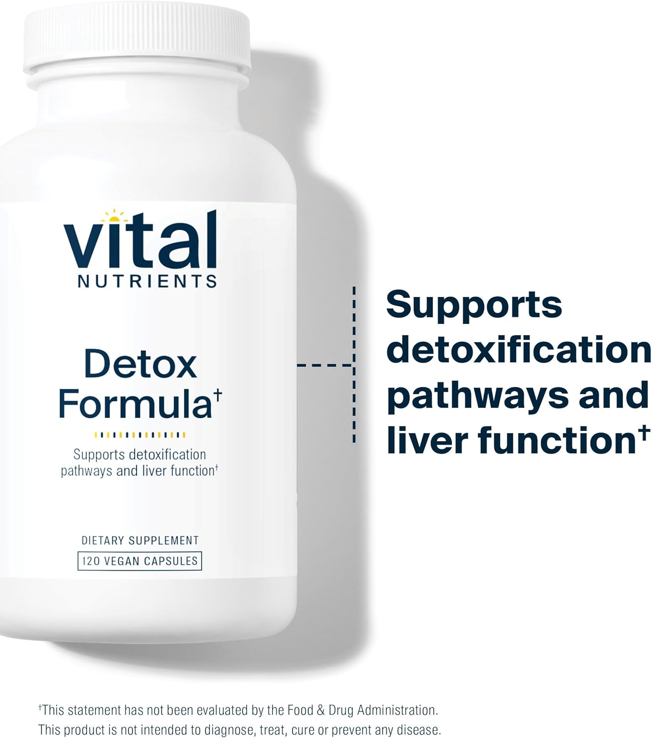 Vital Nutrients Detox Formula | Vegan Liver Detox | Antioxidant Supplement Promotes Liver & Detoxification Support | Gluten, Dairy, Soy Free | Non-GMO | 120 Capsules