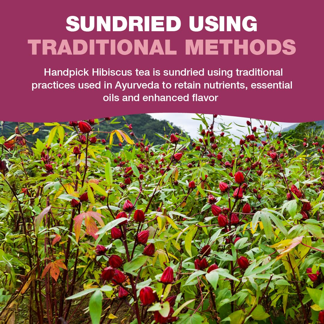 HANDPICK, Organic Hibiscus Tea Bags (100 Tea Bags) | Caffeine-Free, 100% Natural Pure Indian Hibiscus Flowers | Ayurvedic Benefits in every sip