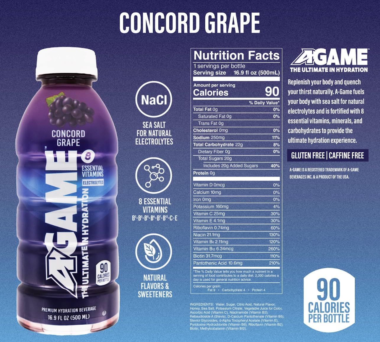 A-GAME Sports Drink, Concord Grape, The Ultimate Hydration Sports Beverage for Athletes, 8 Essential Vitamins including B, C, & E plus Natural Sea Salt Electrolytes, All Natural Flavors & Sweeteners, Gluten Free, 16 Fl Oz (Pack of 12)
