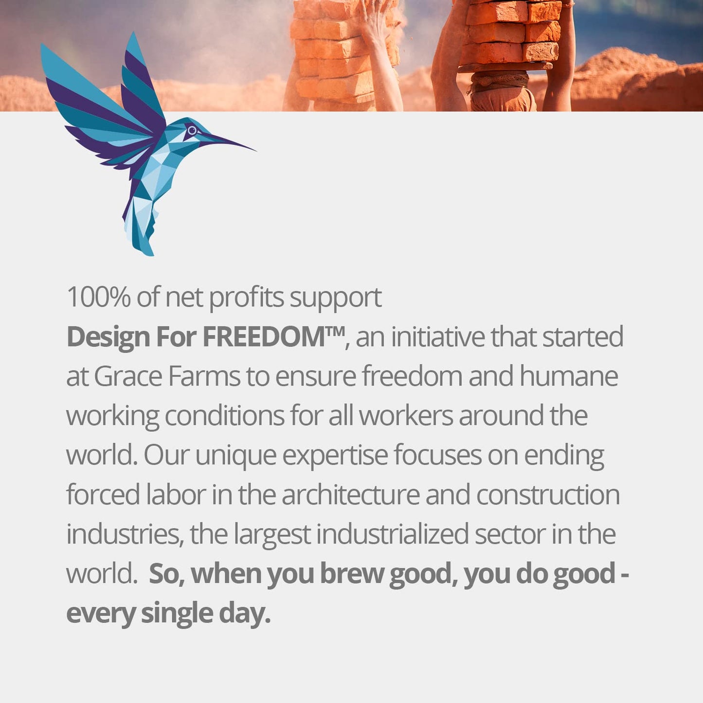 Grace Farms RISE Wellness Organic Tea Blend (100 Enveloped Pyramid Sachets w/ String & Tag) | Morning Energy & Focus | Earl Grey Crème with Adaptogenic Mushrooms and Ashwagandha | Fairtrade and Kosher | Gives Back 100% of Profits