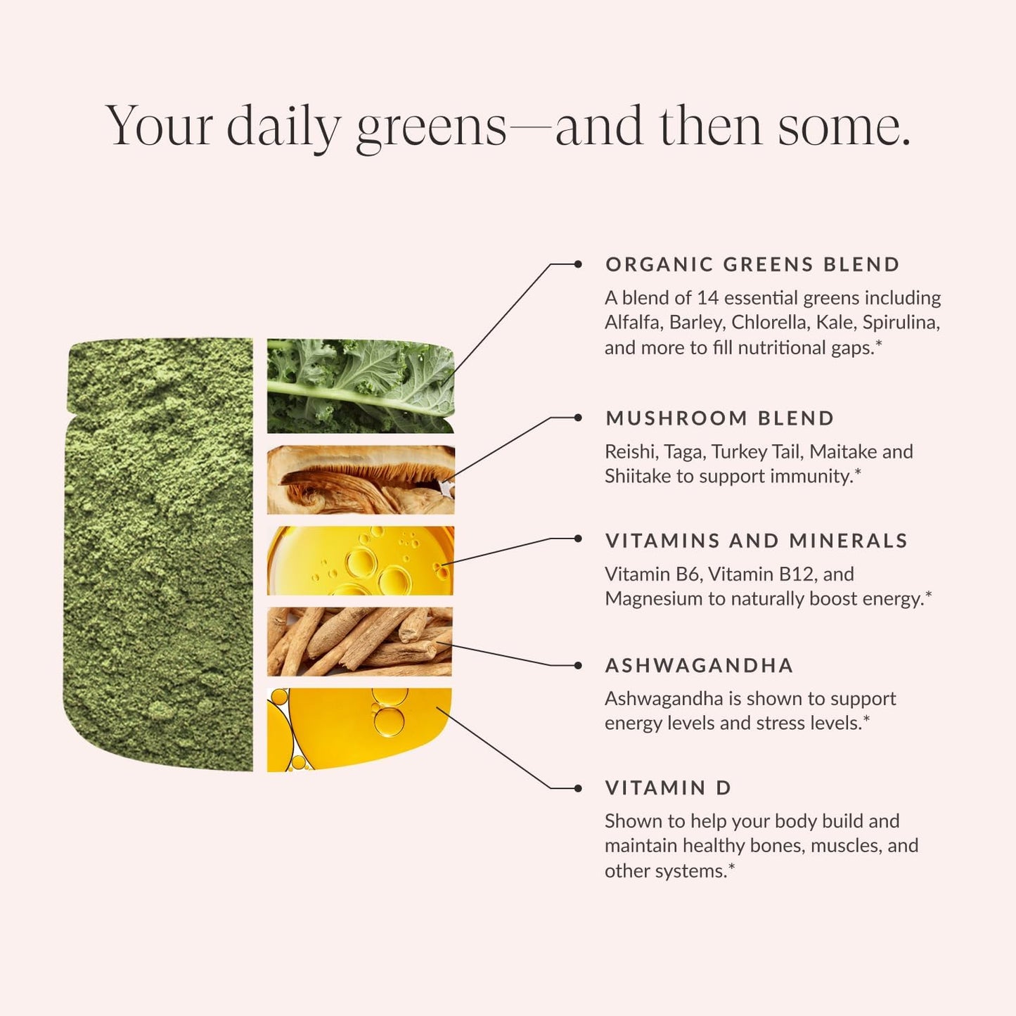 Beam Greens Powder, Superfood Supplement for Gut Health, Vegan Organic Blend with Ashwagandha, Vitamin C, B12, B6, D, Non-GMO Daily Detox & Immune Support, Strawberry Kiwi Flavor, 15 Servings