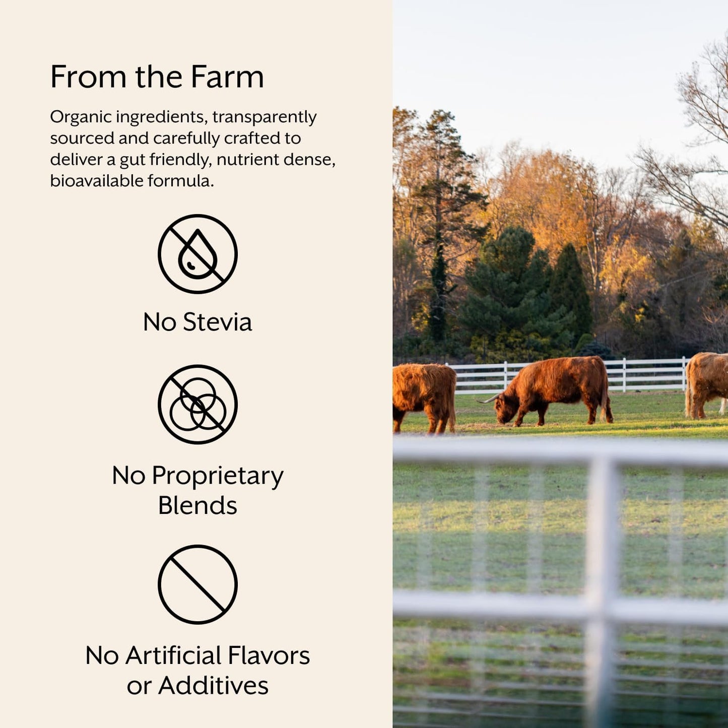 ProMix Nutrition Raw Greens Superfood Blend - Sprouted Alfalfa, Wheatgrass, Ashwagandha, & Rhodiola - 30 Servings