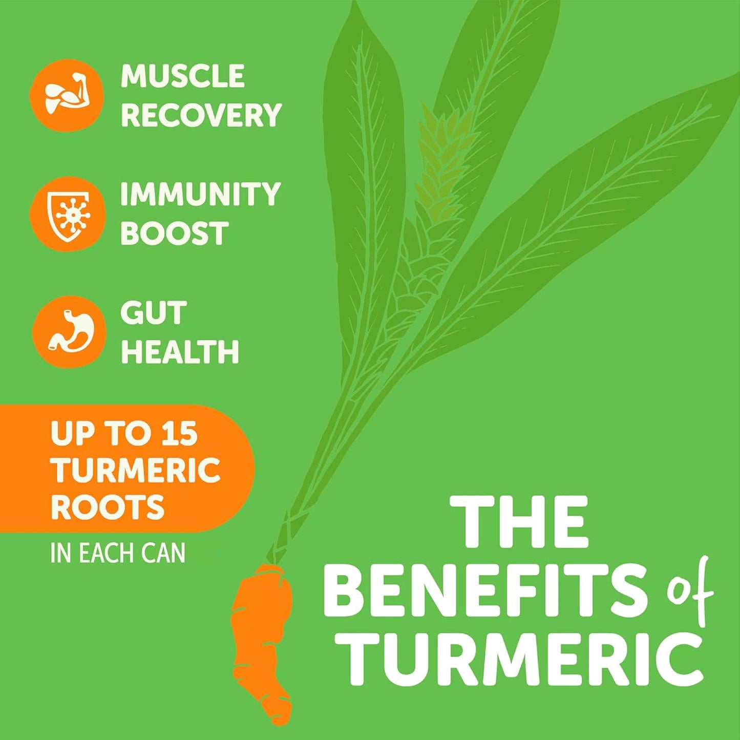 ZYN Turmeric Wellness Drink (24 Pack), Mango Lychee Flavored Turmeric Curcumin Drink with Black Pepper, No Added Sugar, Low Carb & Low Calorie Drink, Clean Alternative