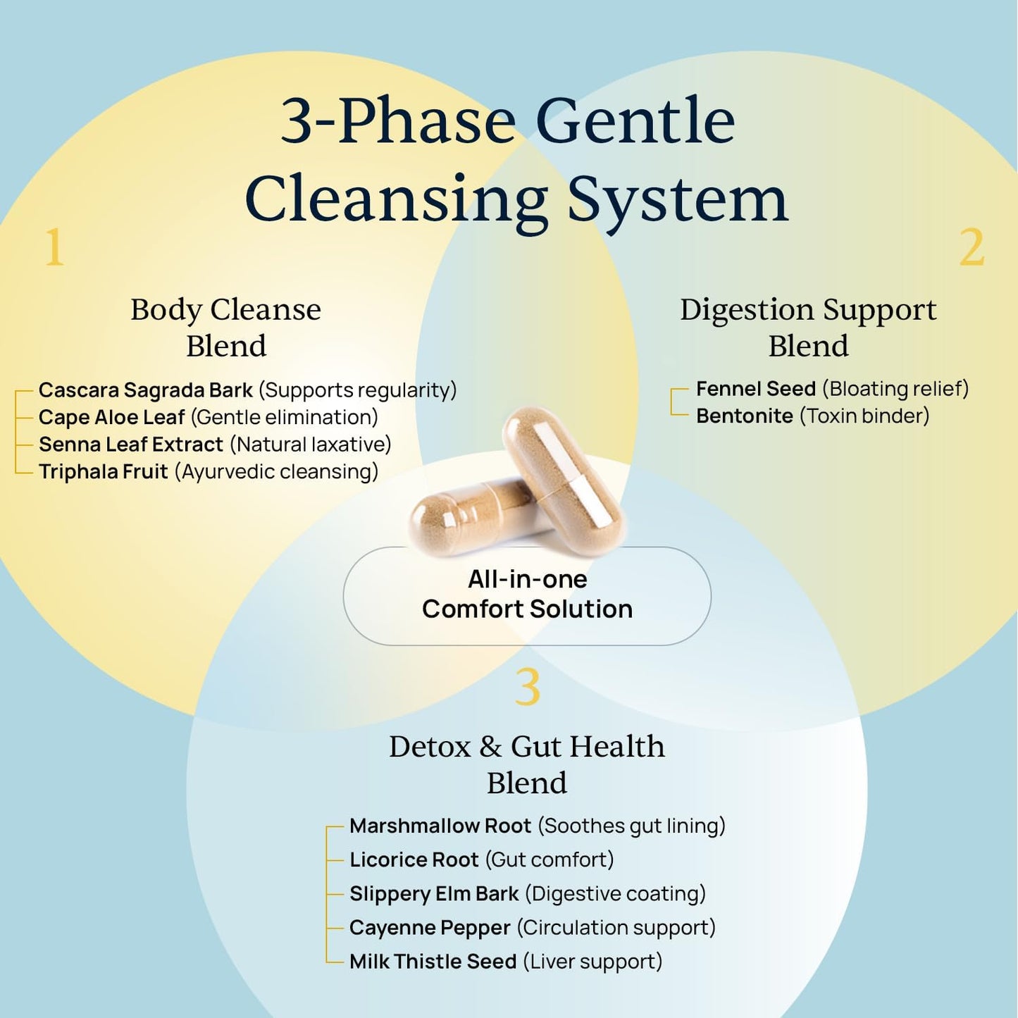 Simple Promise BellyFlush - Gentle Colon & Gut Cleanse Supplement for Comfort with Milk Thistle & Bentonite Clay - Supports Debloat, Digestive Cleanse & Flushing - 60 Capsules