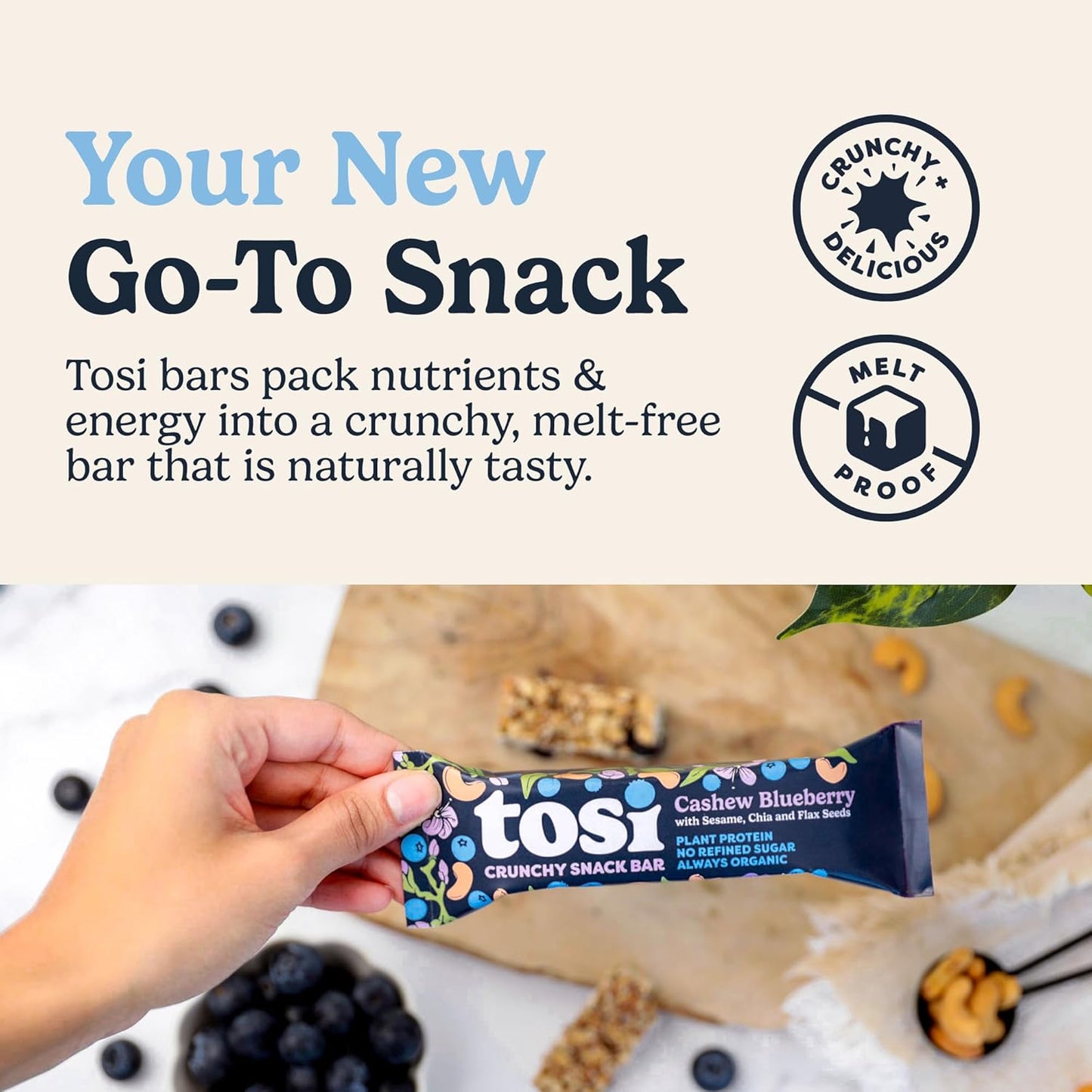 Tosi Cashew Blueberry Protein Bars - Crunchy Nut & Seed Vegan Snack Bars, Gluten Free, 6g Plant Based Protein, Organic Flax, Chia, Sesame Seeds, Omega 3s, Low in Sugar, No Soy - 1 oz, 12-Pack