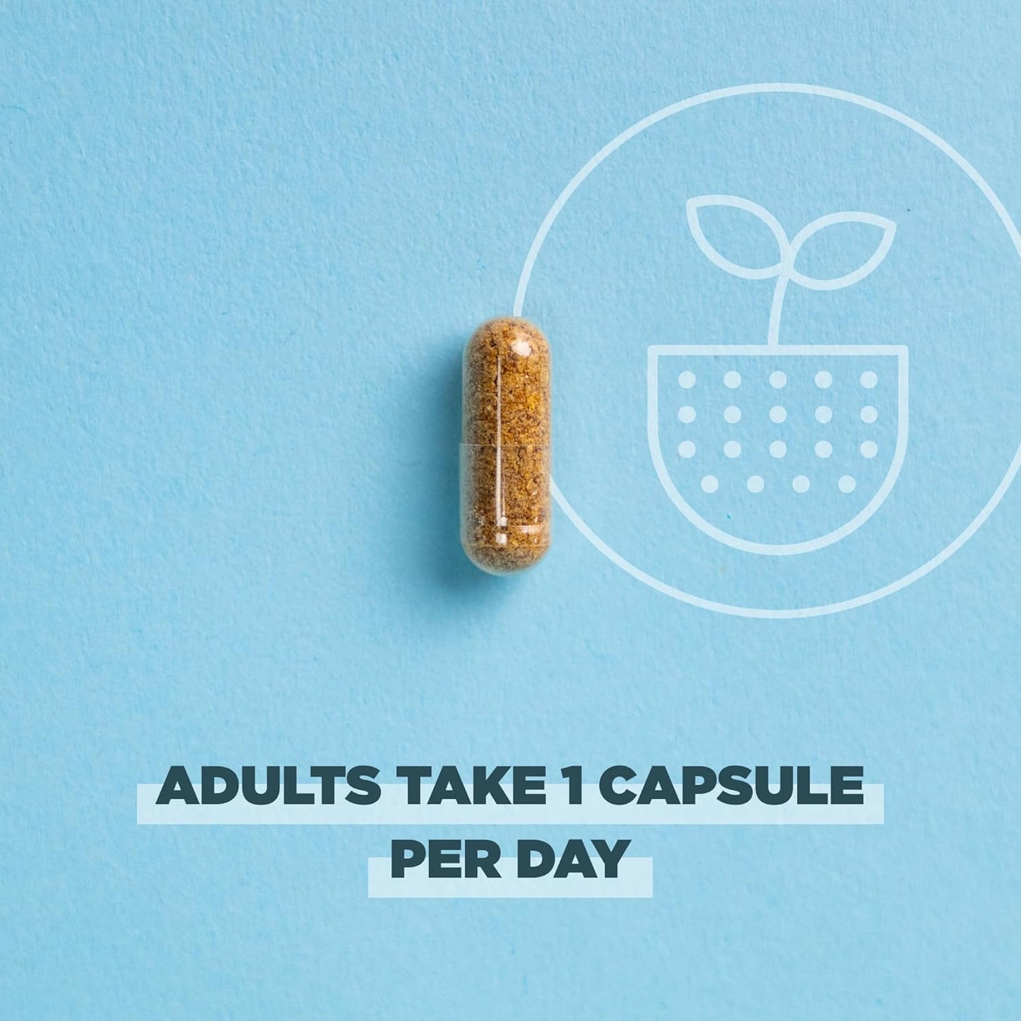 Ancient Nutrition Regenerative Organic Certified Probiotics for Women, Probiotics Women’s Once Daily, for Healthy Digestion and Immune System Function Support, 25 Billion CFUs* Per Serving, 30 Count