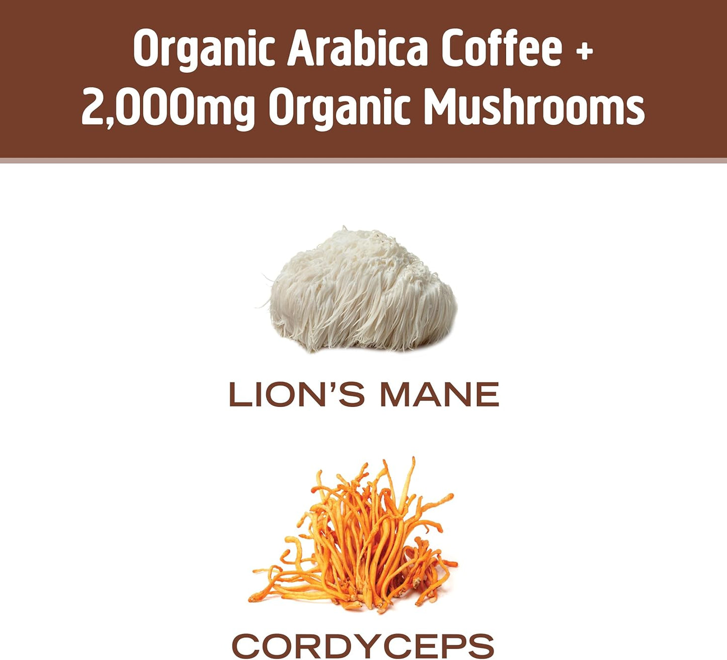 OM MUSHROOM SUPERFOOD Coffee Blend Mushroom Powder, Single Serve, 10 Count, Organic Arabica Beans, Lion's Mane, Cordyceps, Turkey Tail, Reishi Extract, Ginkgo Biloba, Supports Energy and Focus